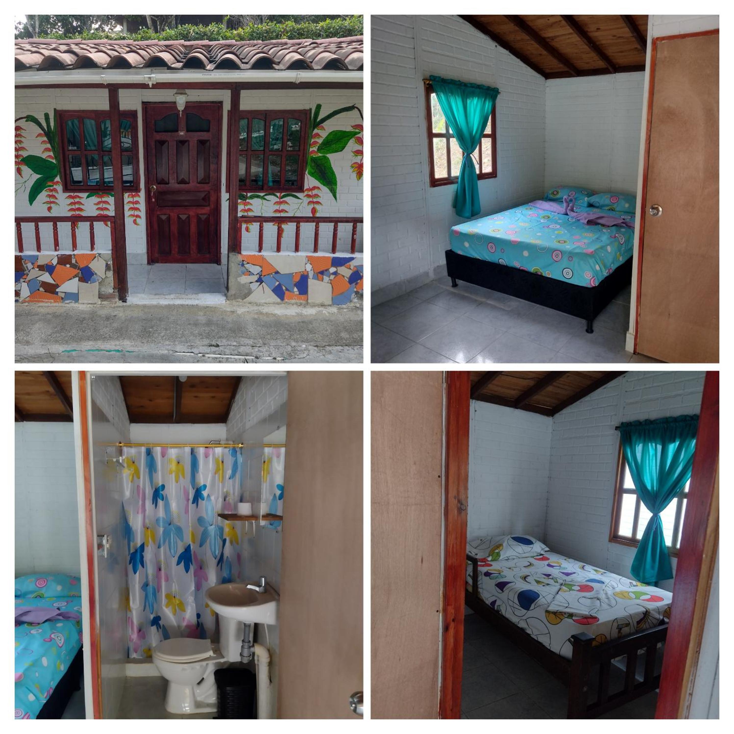 Twin Room photo 1