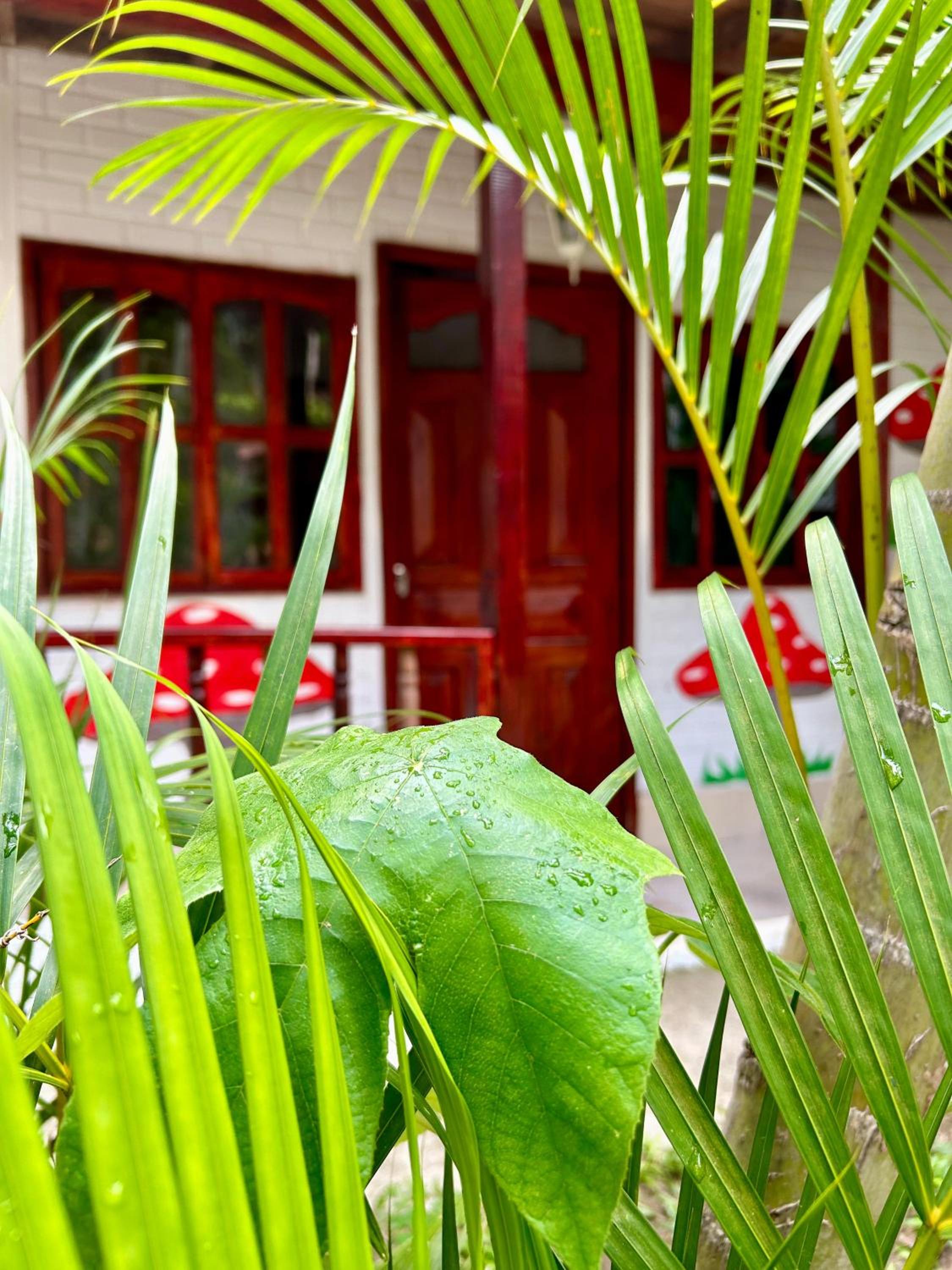 Double Room With Garden View photo 2