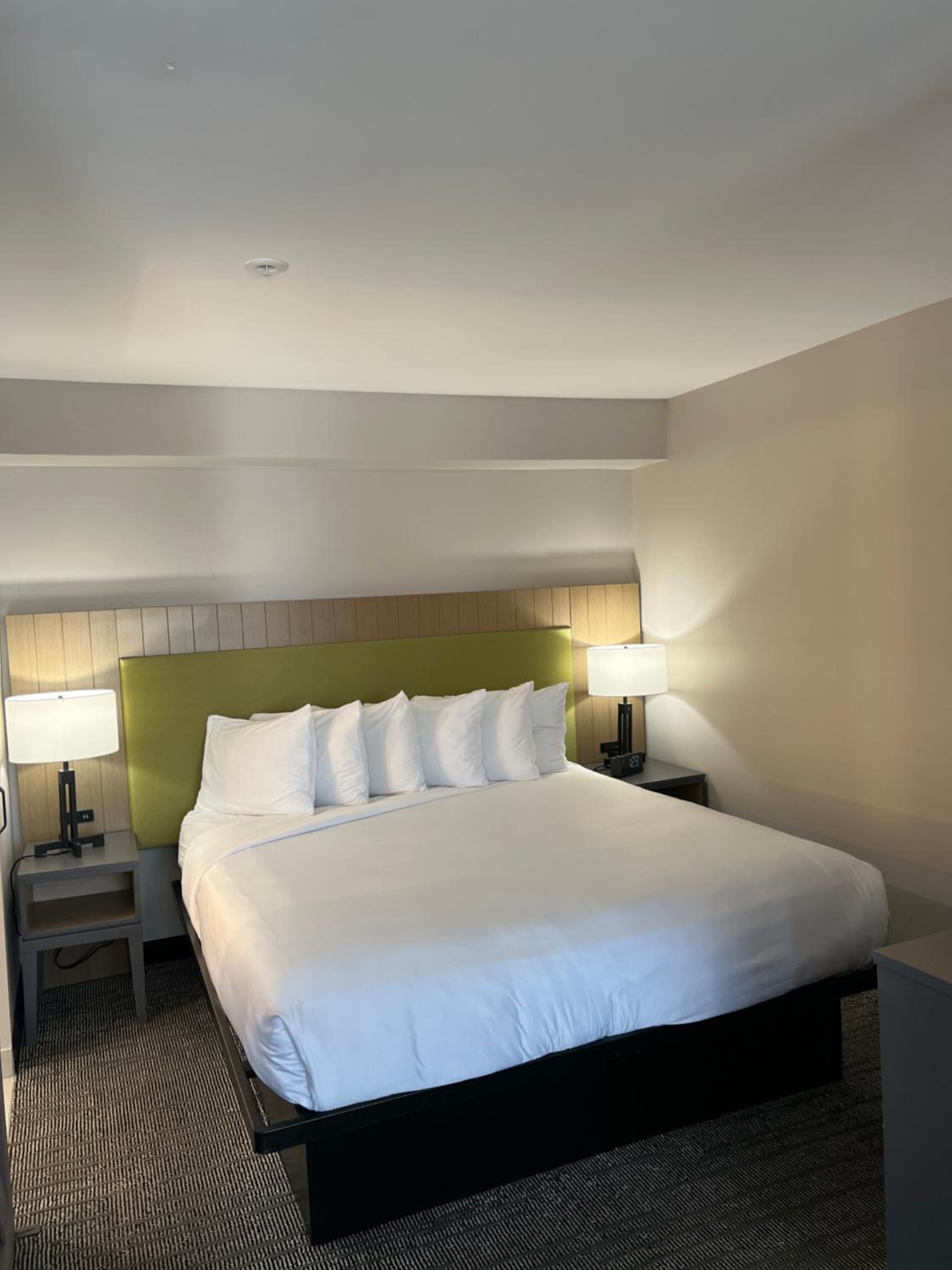 One-Bedroom King Suite - Non-Smoking - Photo 3