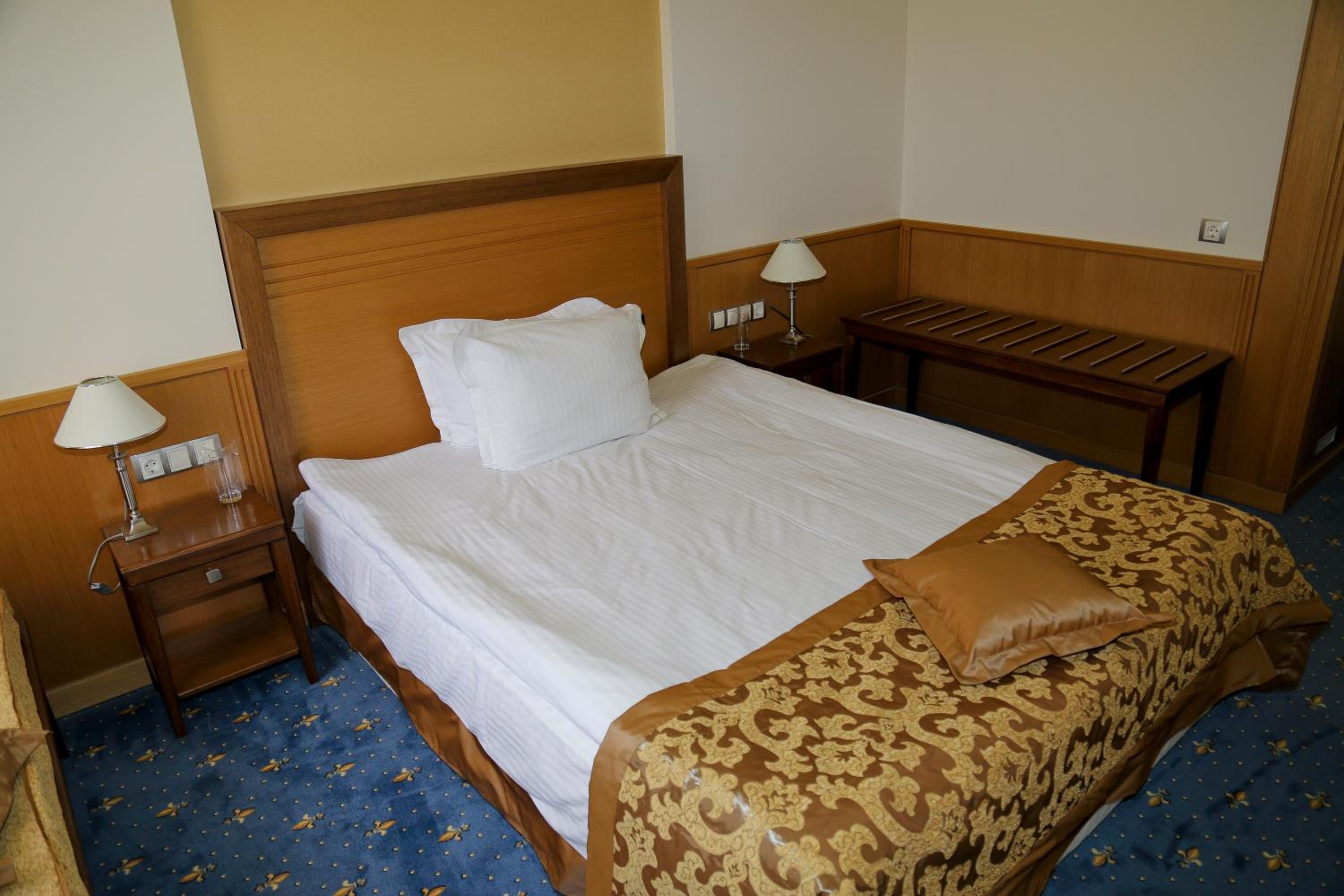 Deluxe Single Room photo 1