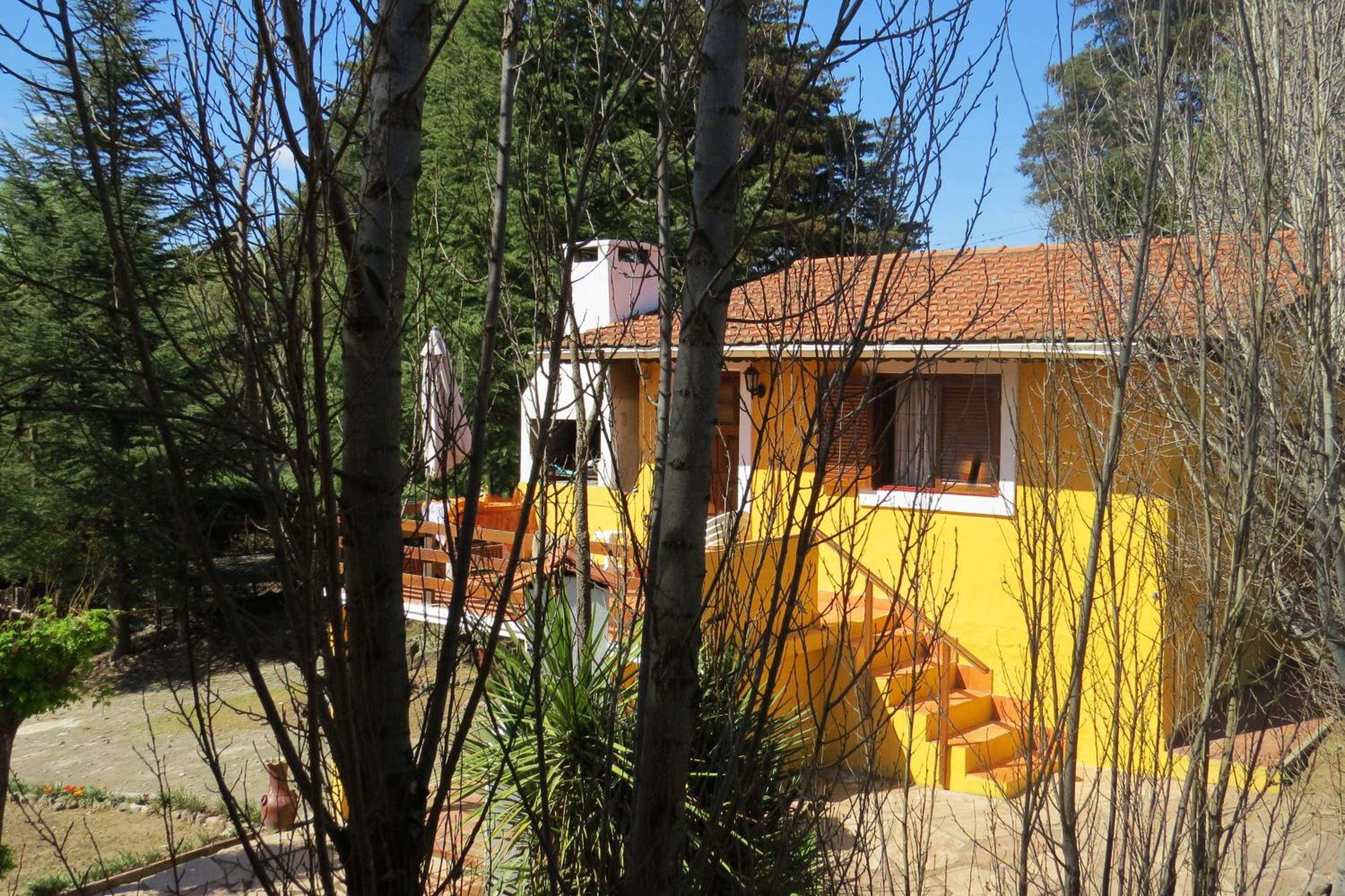 One-Bedroom Bungalow photo 3