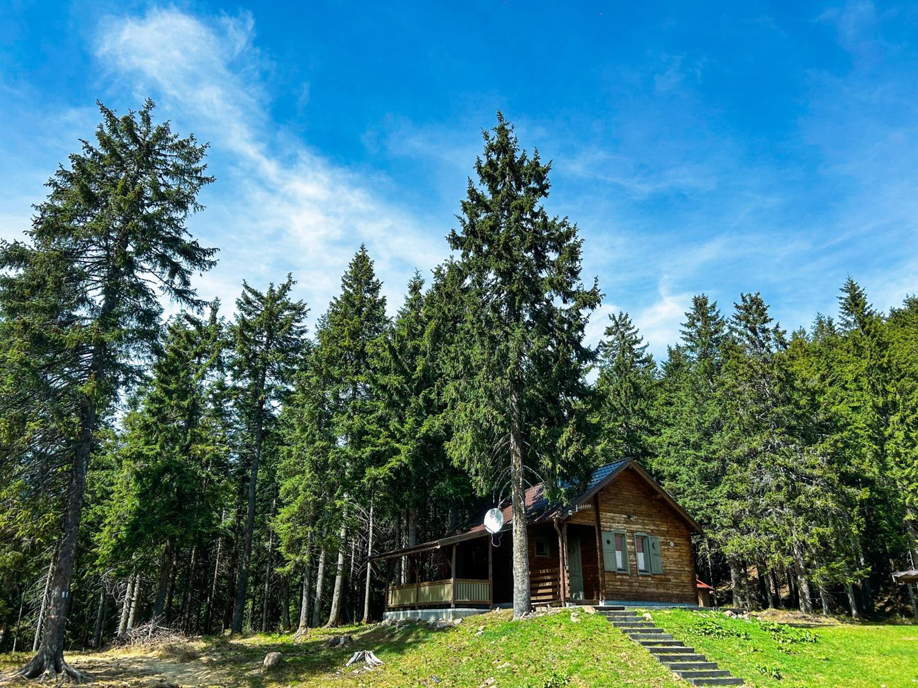 Three-Bedroom Chalet - Photo 6