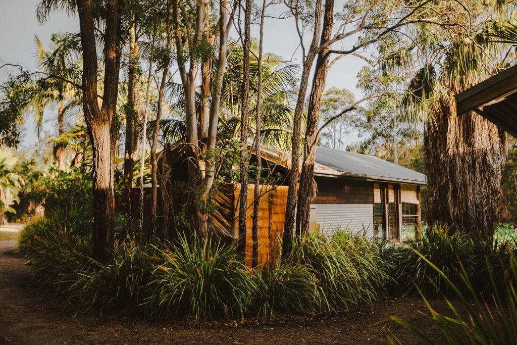 Superior Villa photo 2