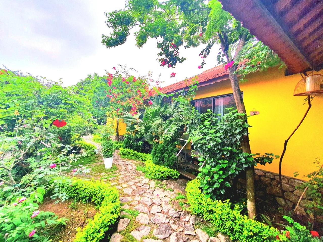 Bungalow With Garden View photo 3