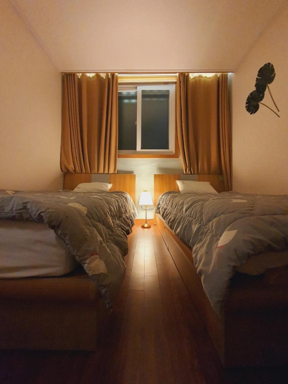 Twin Room photo 1