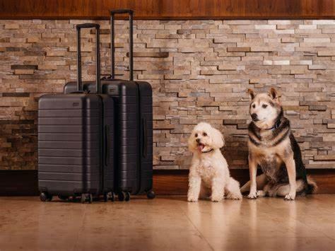Medium Double Room - Pet Friendly photo 2