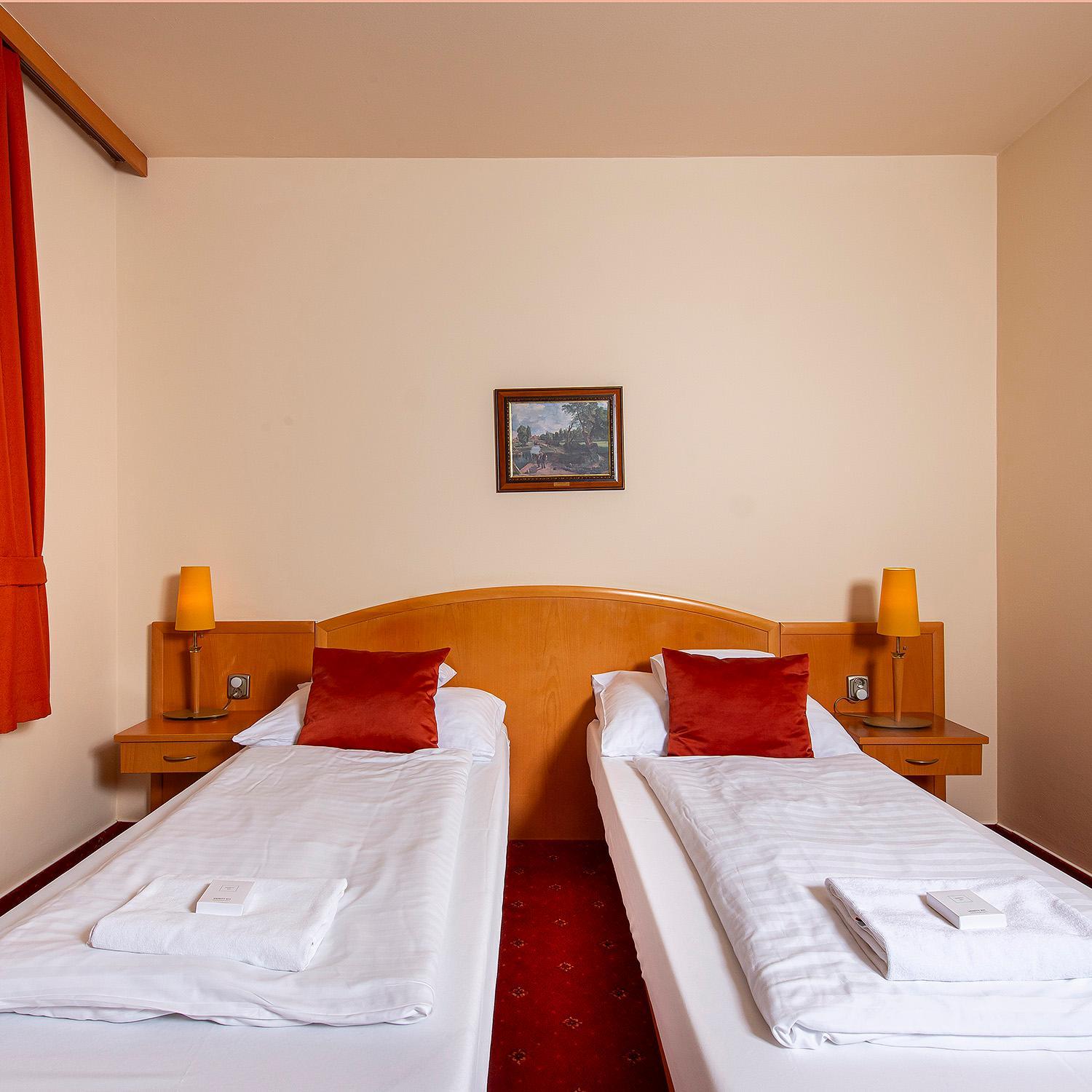 Double or Twin Room