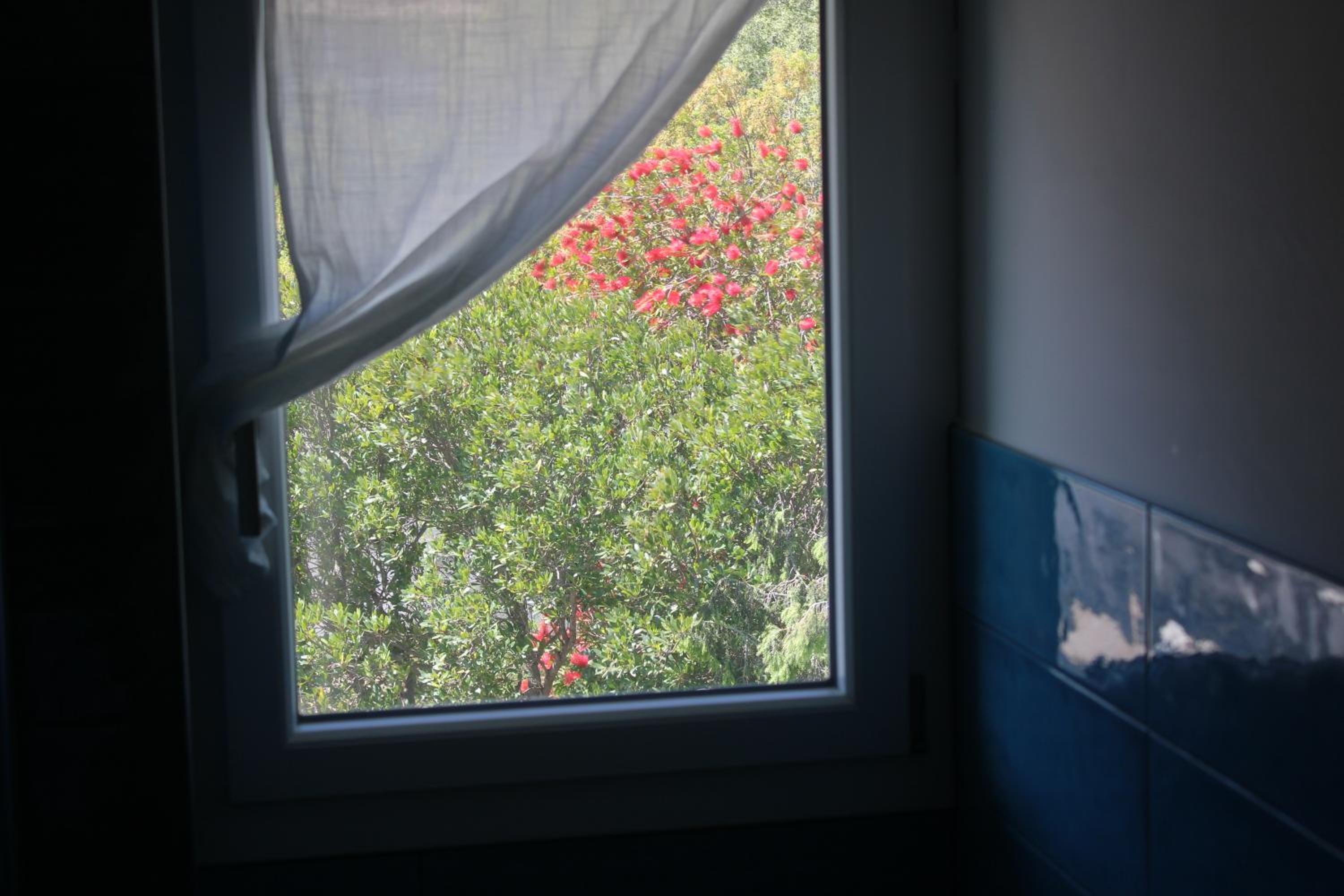 Quadruple Room with Sea View photo 2