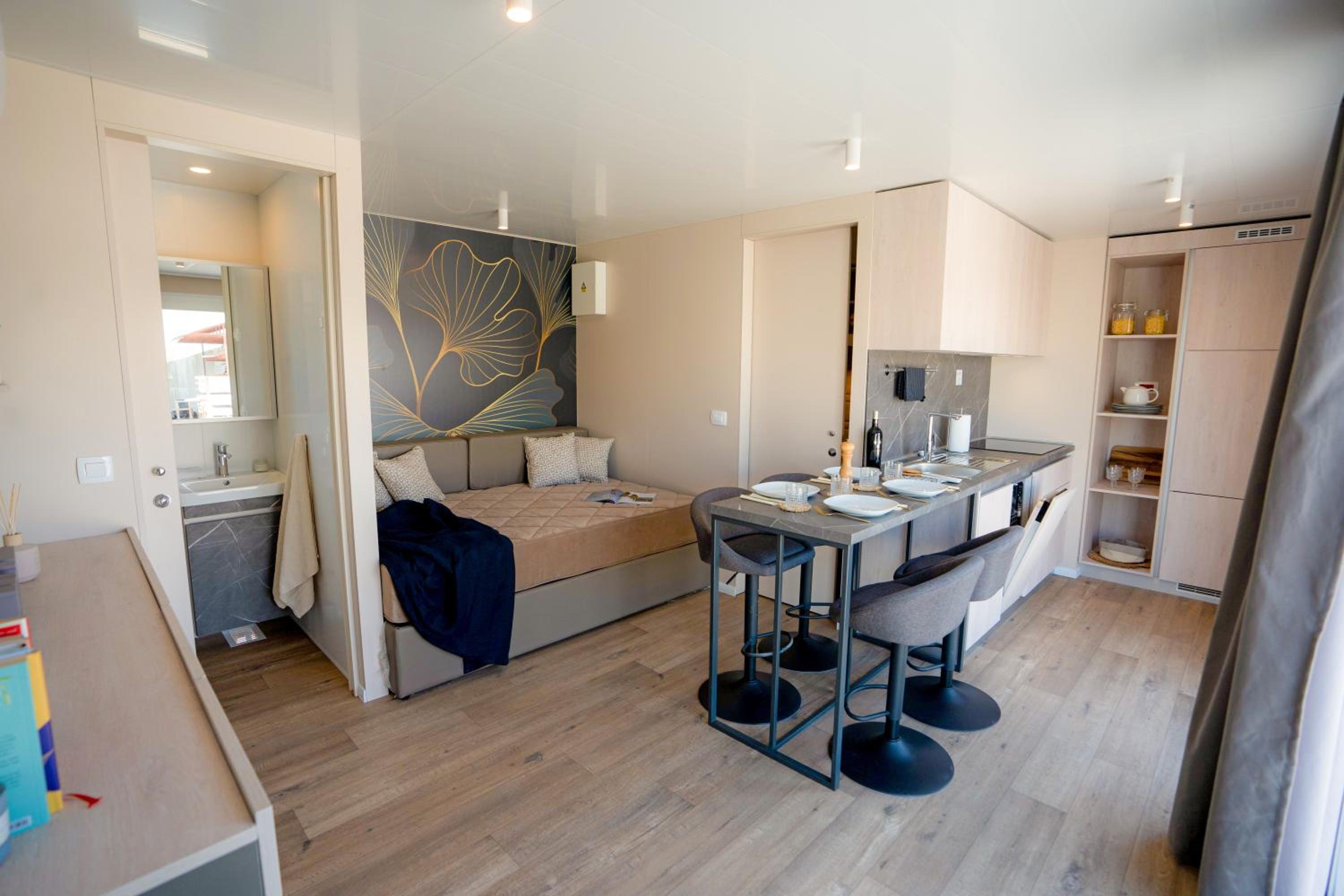 Mobile Home Prestige - First line