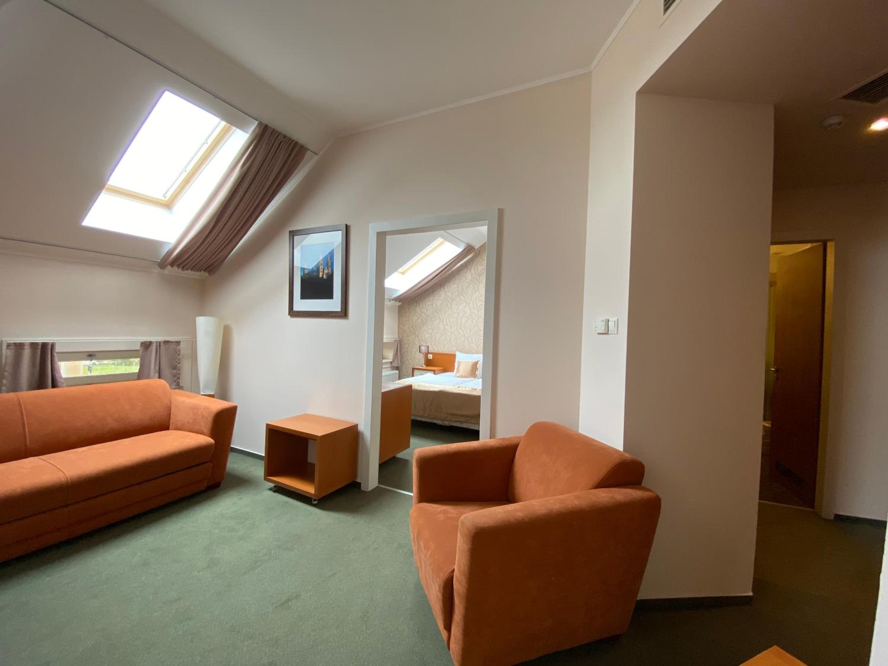 One-Bedroom Suite photo 1