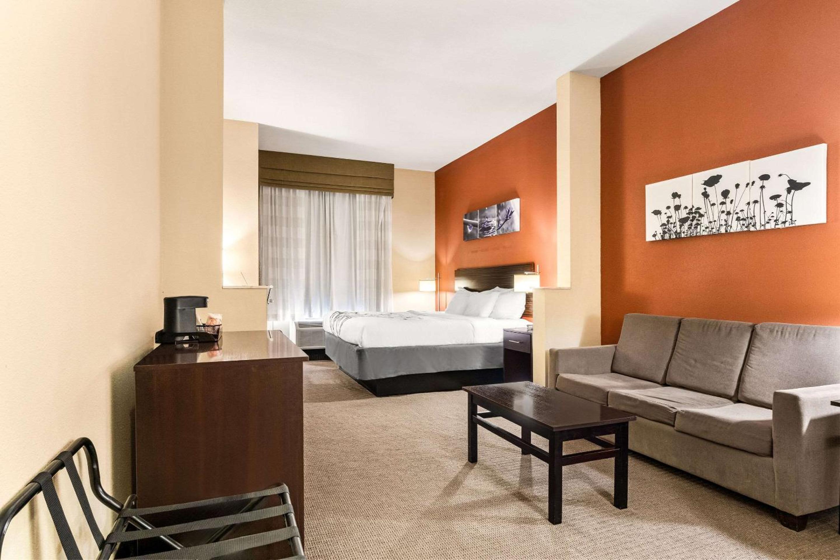 King Suite - Non-Smoking photo 3