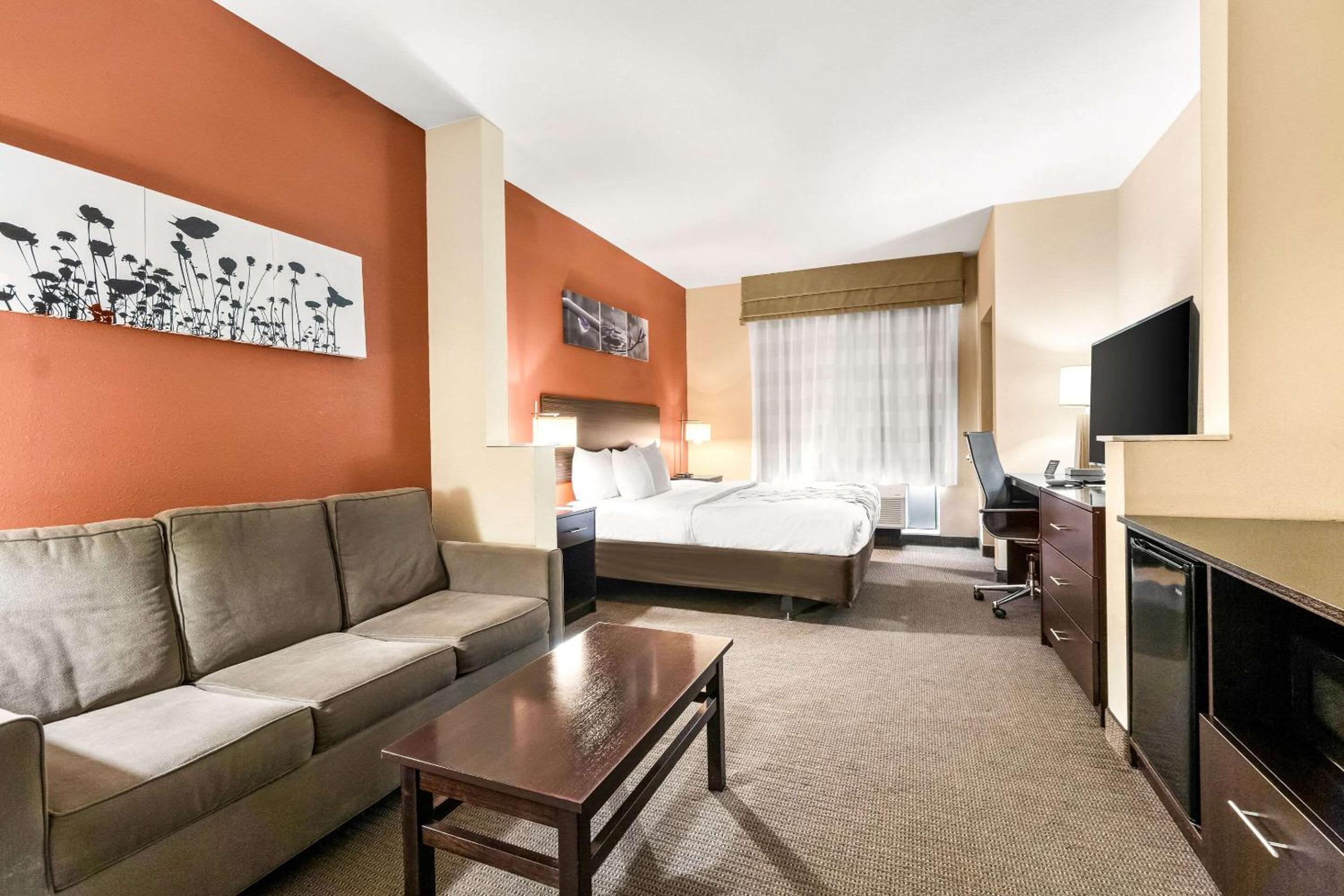 King Suite - Non-Smoking photo 2