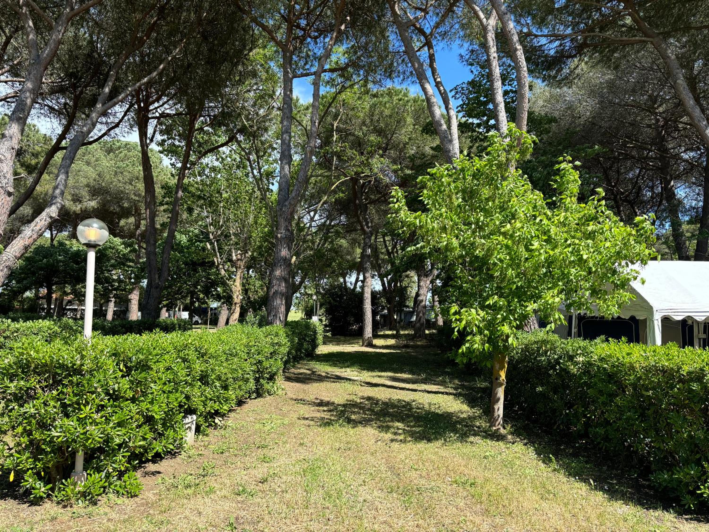 Superior Empty Lot (Bring Your Own Tent, Camper or Caravan) photo 3