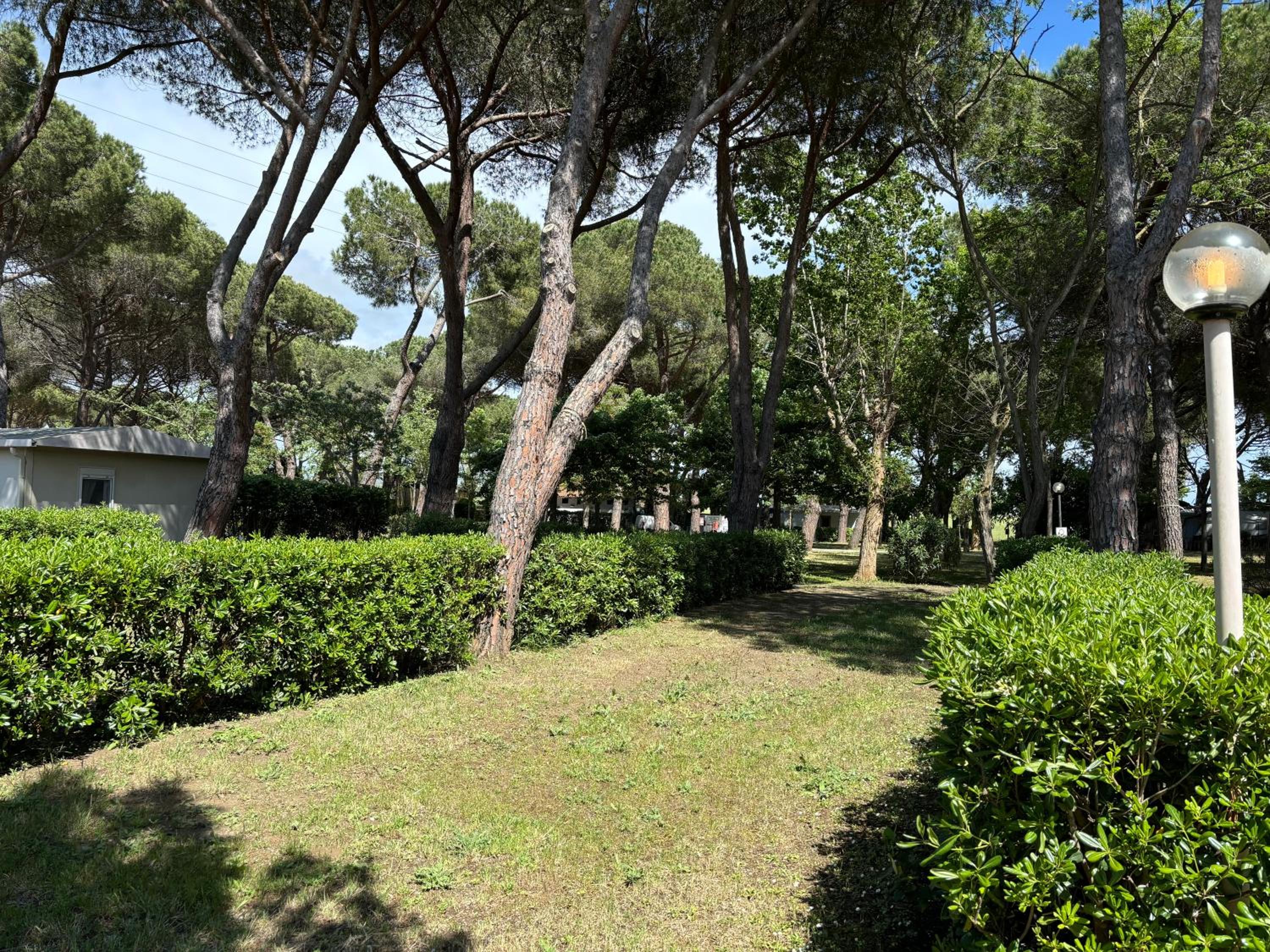 Standard Empty Lot (Bring Your Own Tent, Camper or Caravan) photo 3