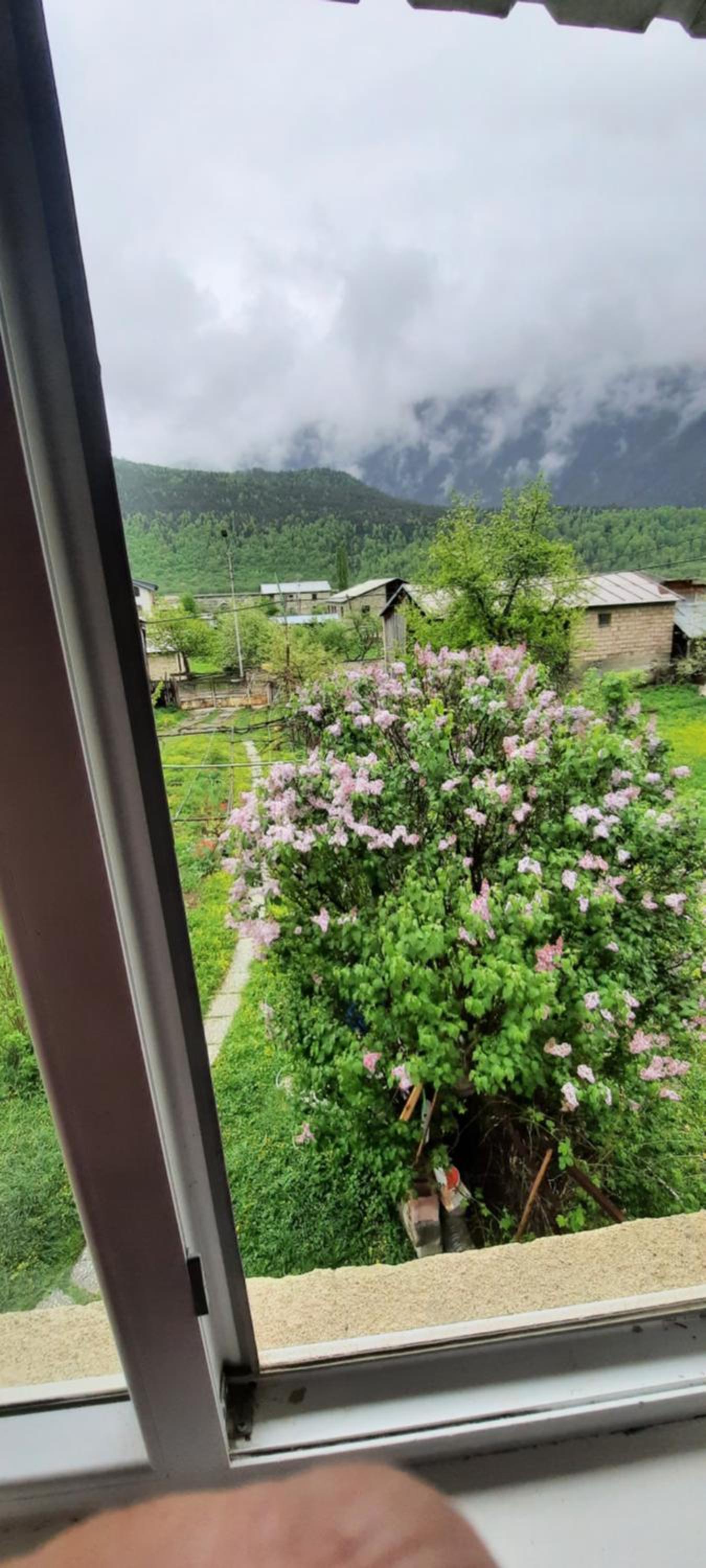 Double Room with Mountain View