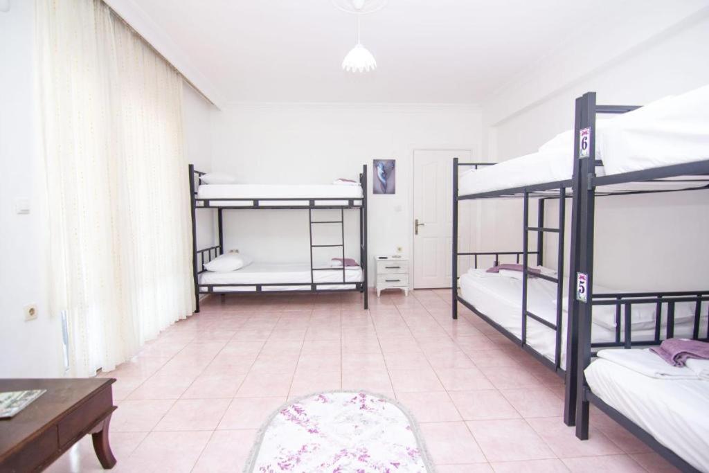 Bunk Bed In Mixed Dormitory Room