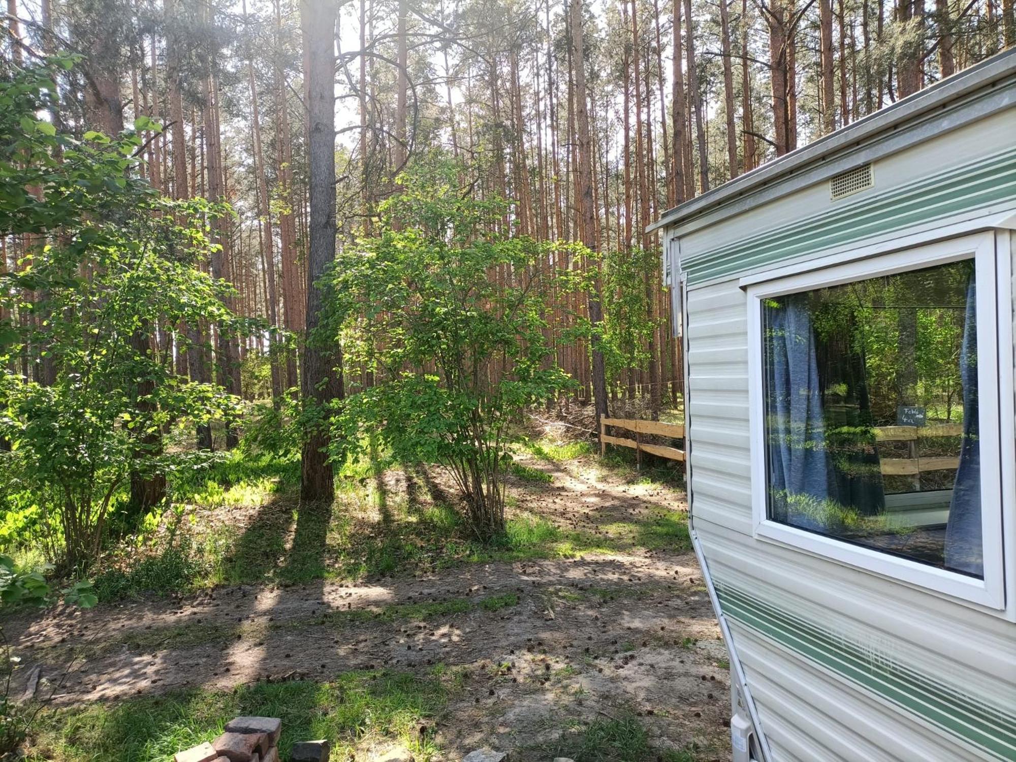 Mobile Home photo 2