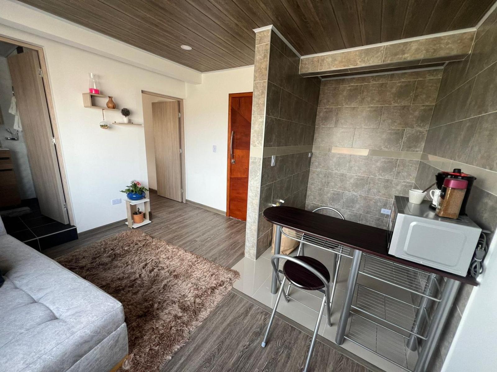 One-Bedroom Apartment photo 2