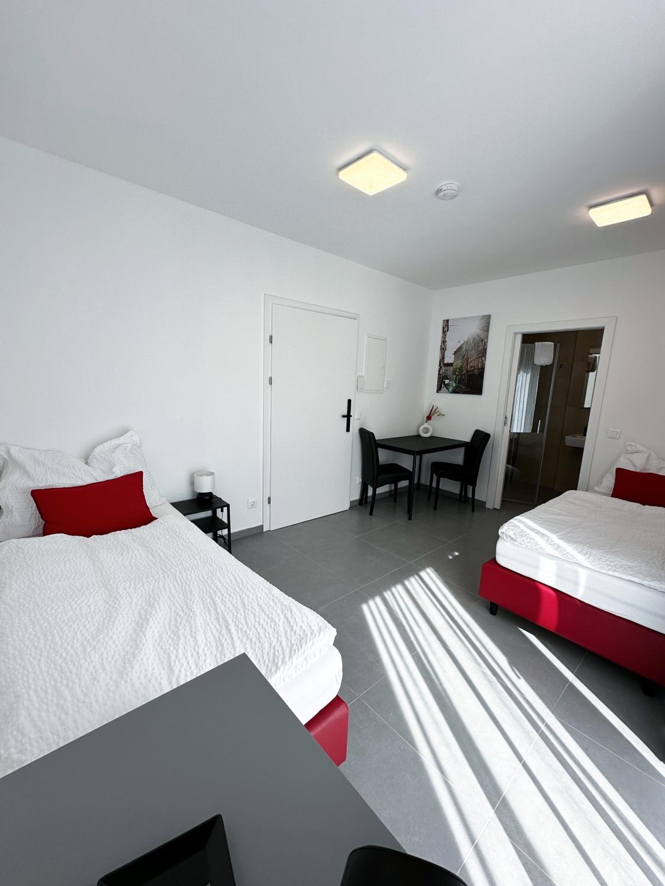 Twin Room with Terrace