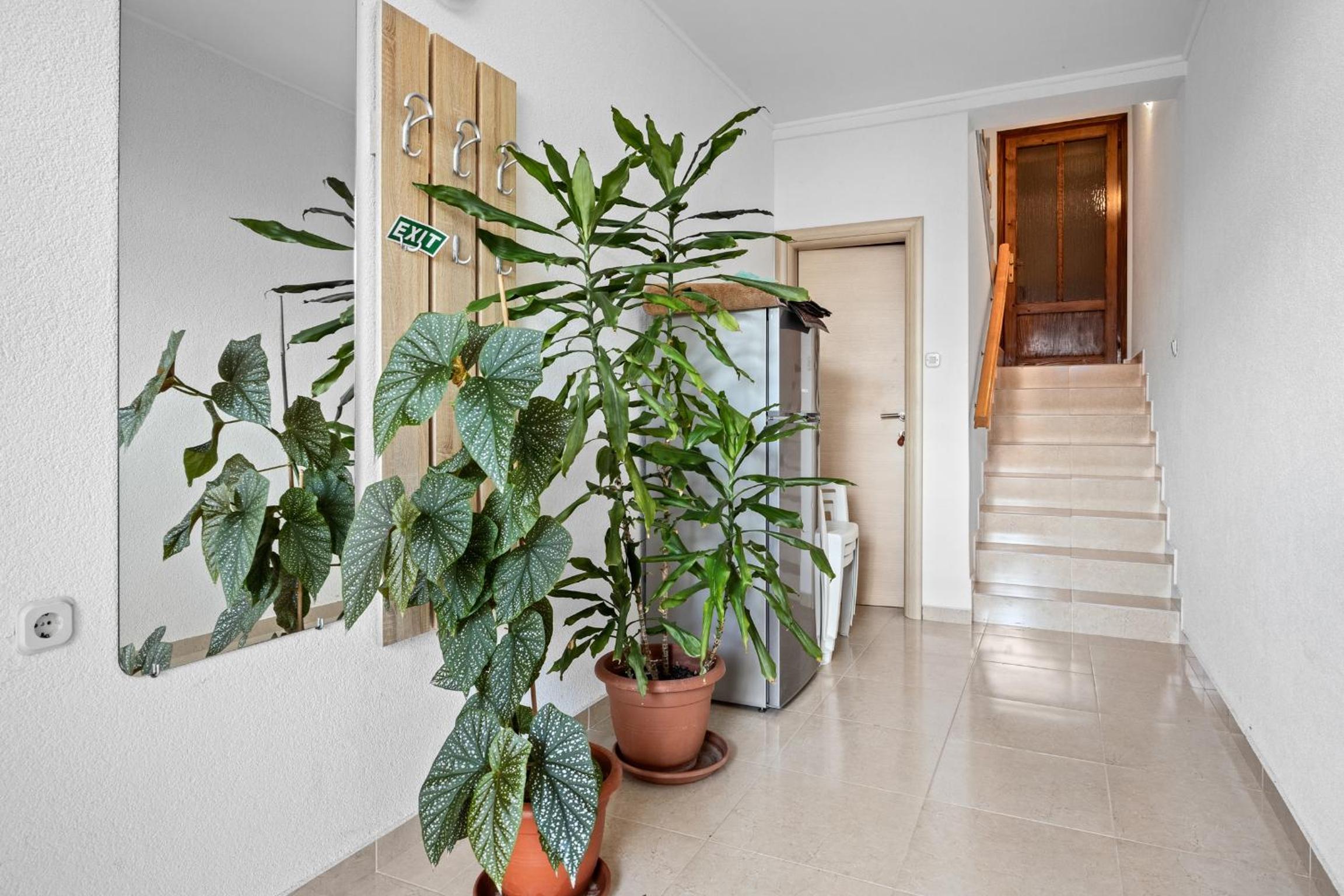 Studio Apartment with Sea View photo 2