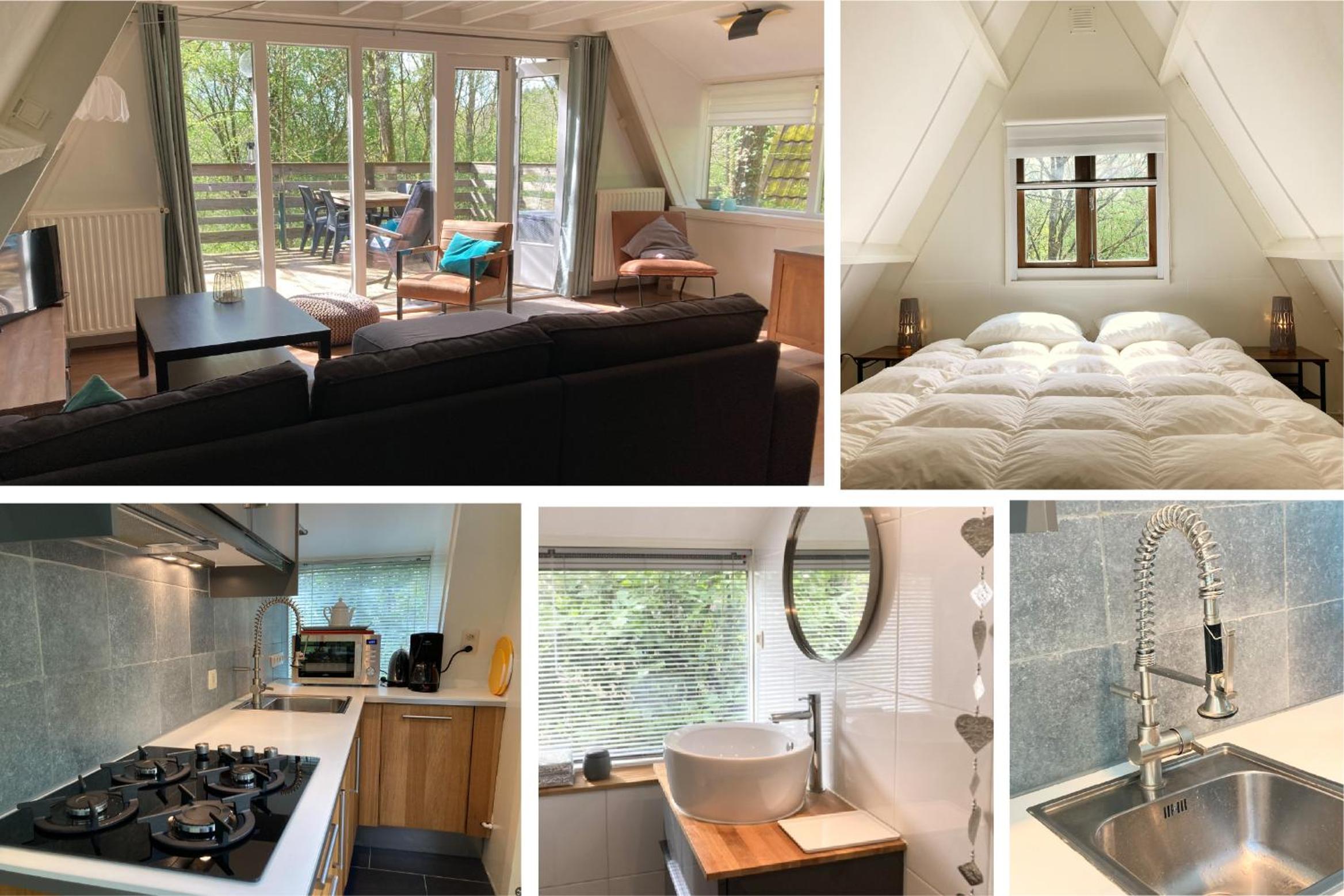 Three-Bedroom Chalet photo 1