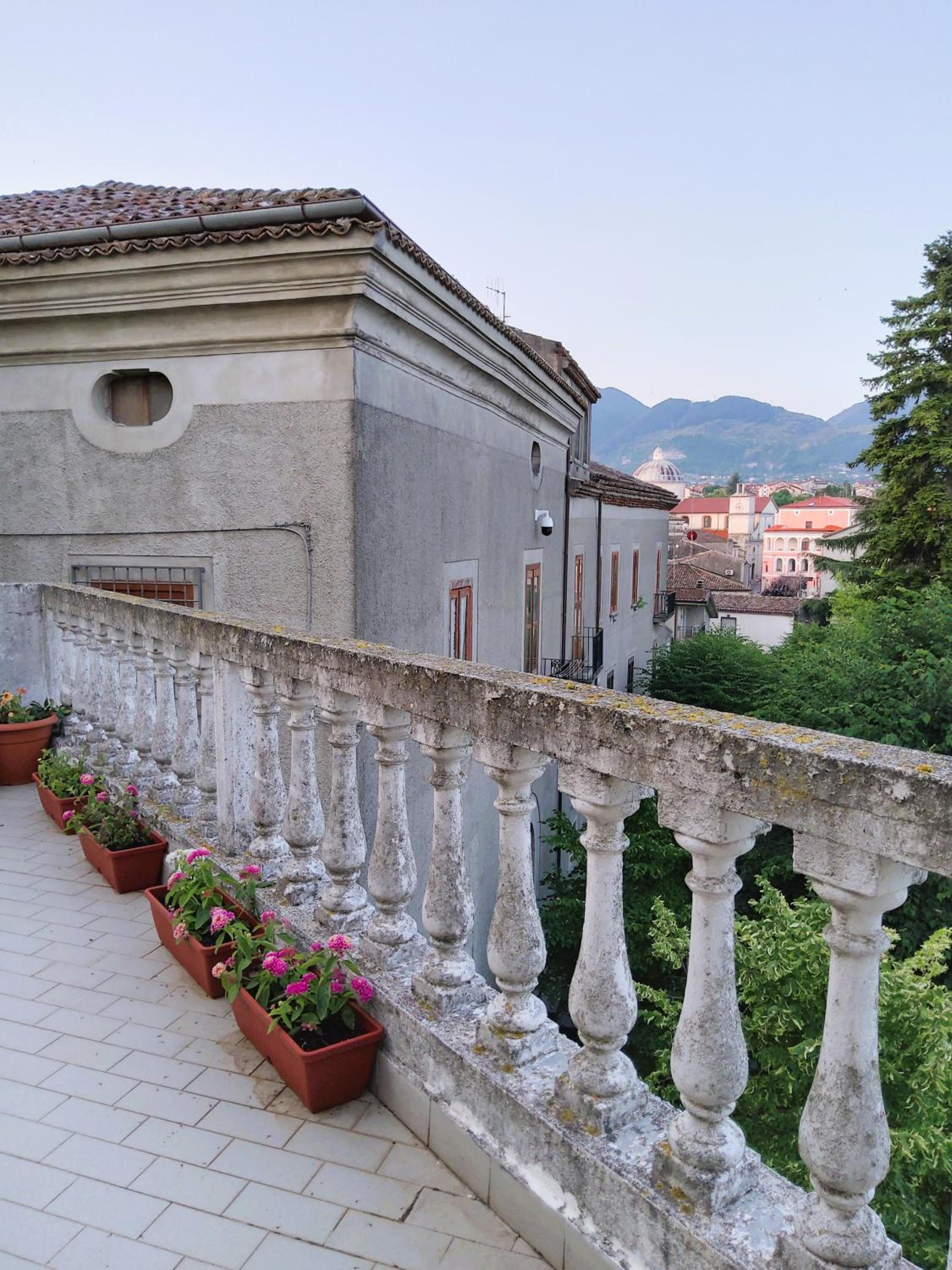 Apartment with Terrace photo 3