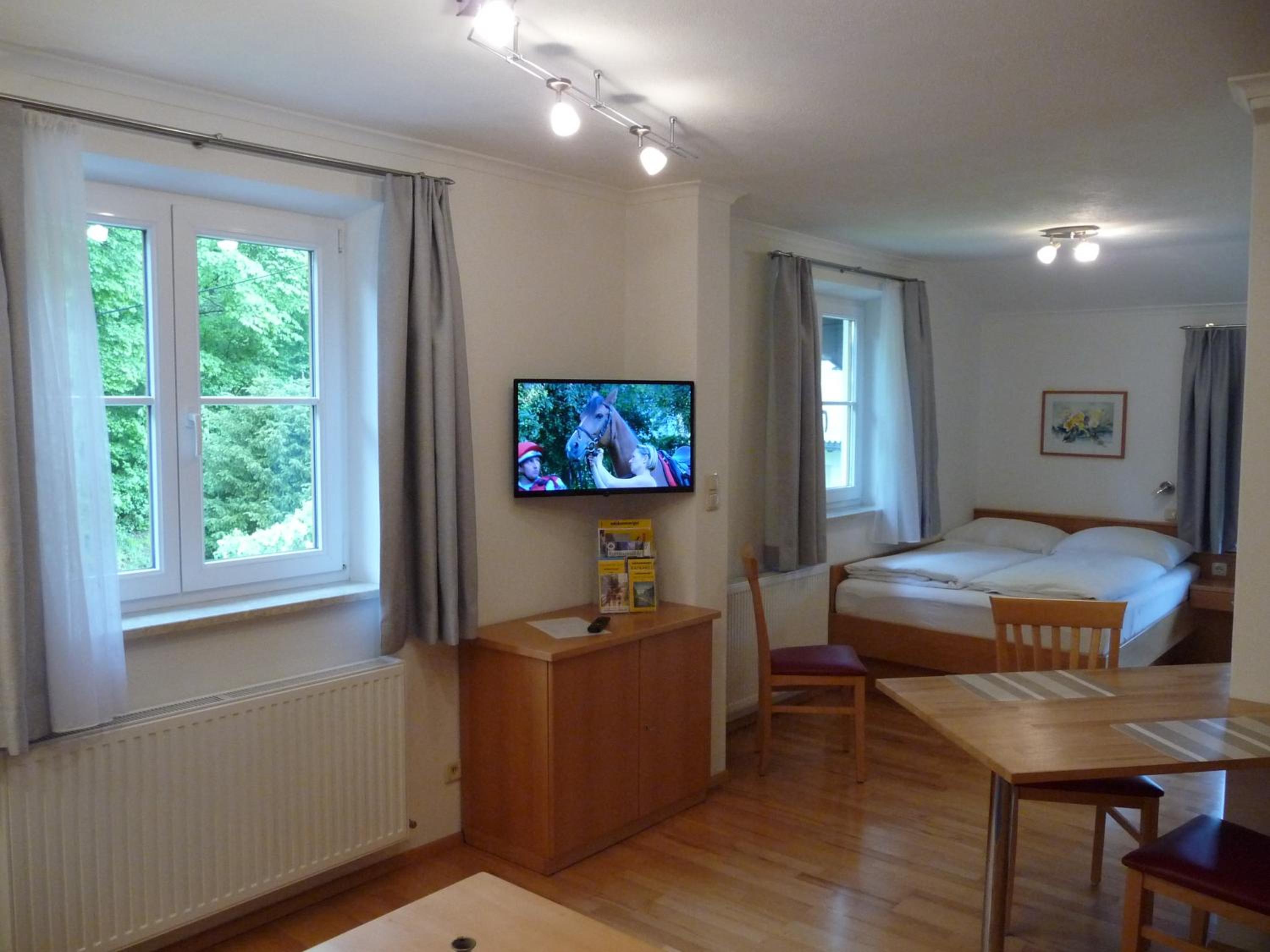 Apartment with Mountain View