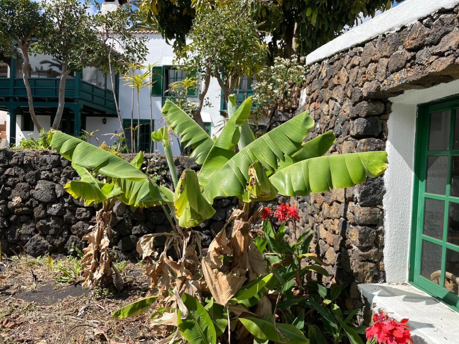 Villa photo 3