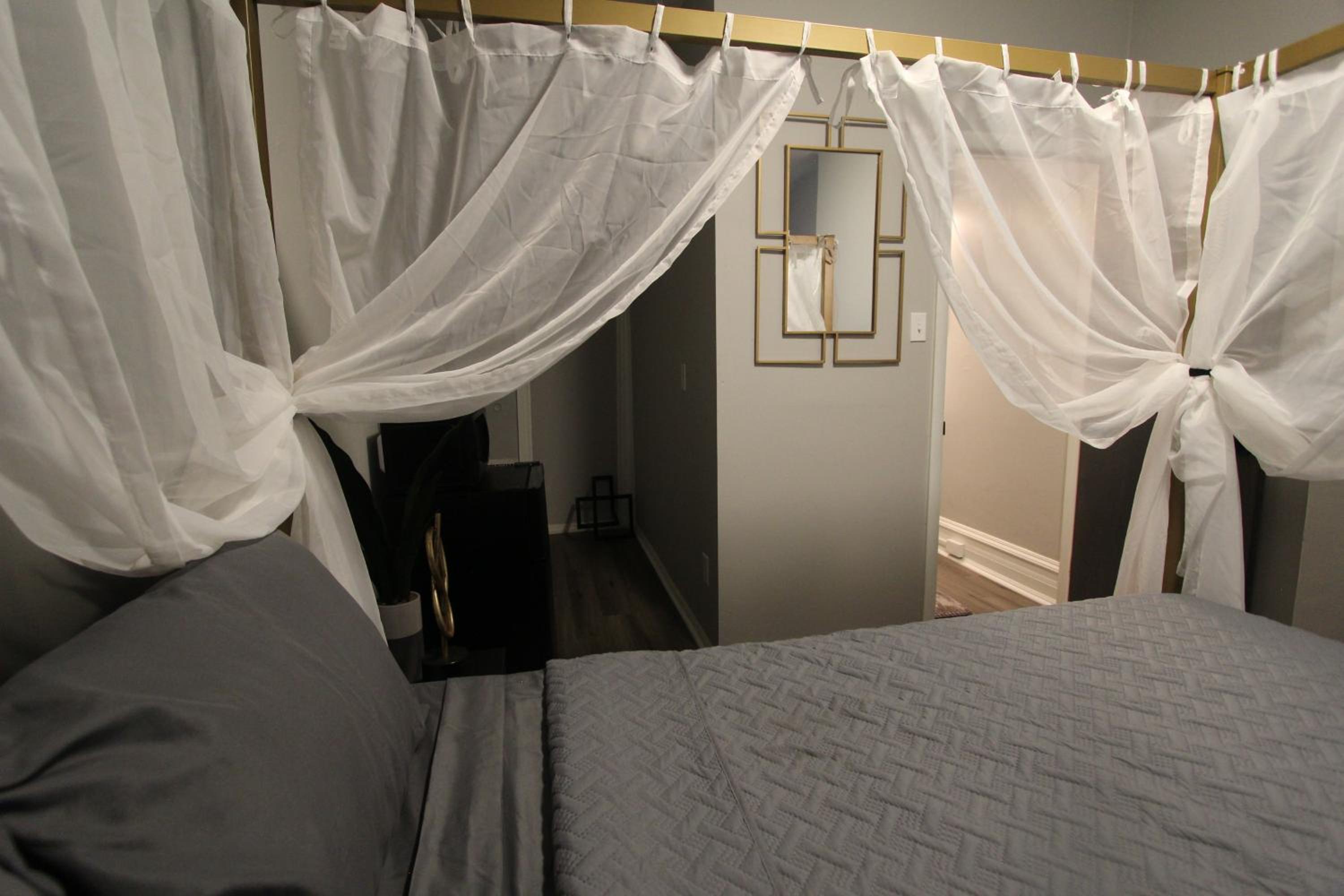 Standard Studio - Photo 1
