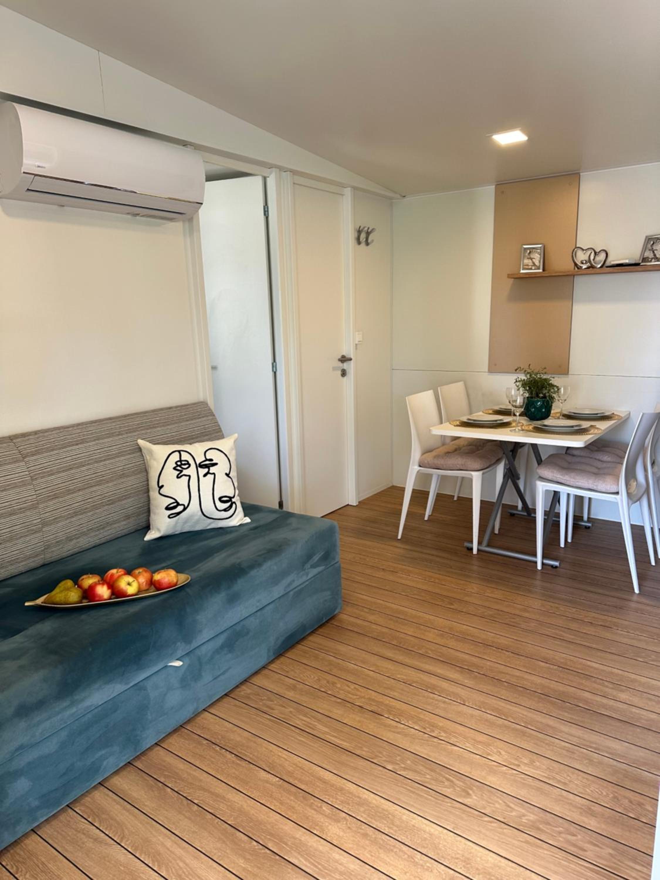 Mobile Home photo 1