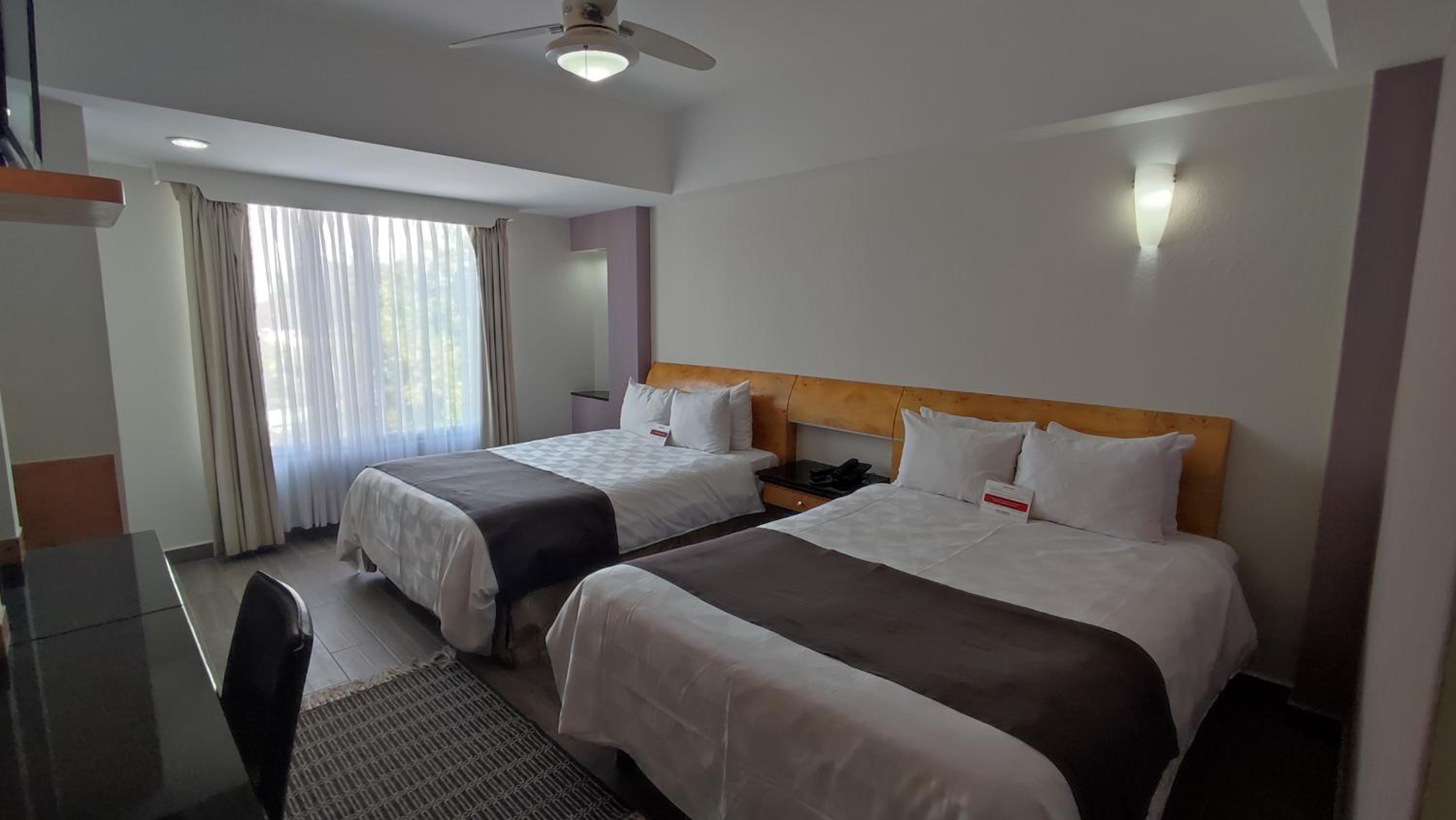 Double Room photo 1