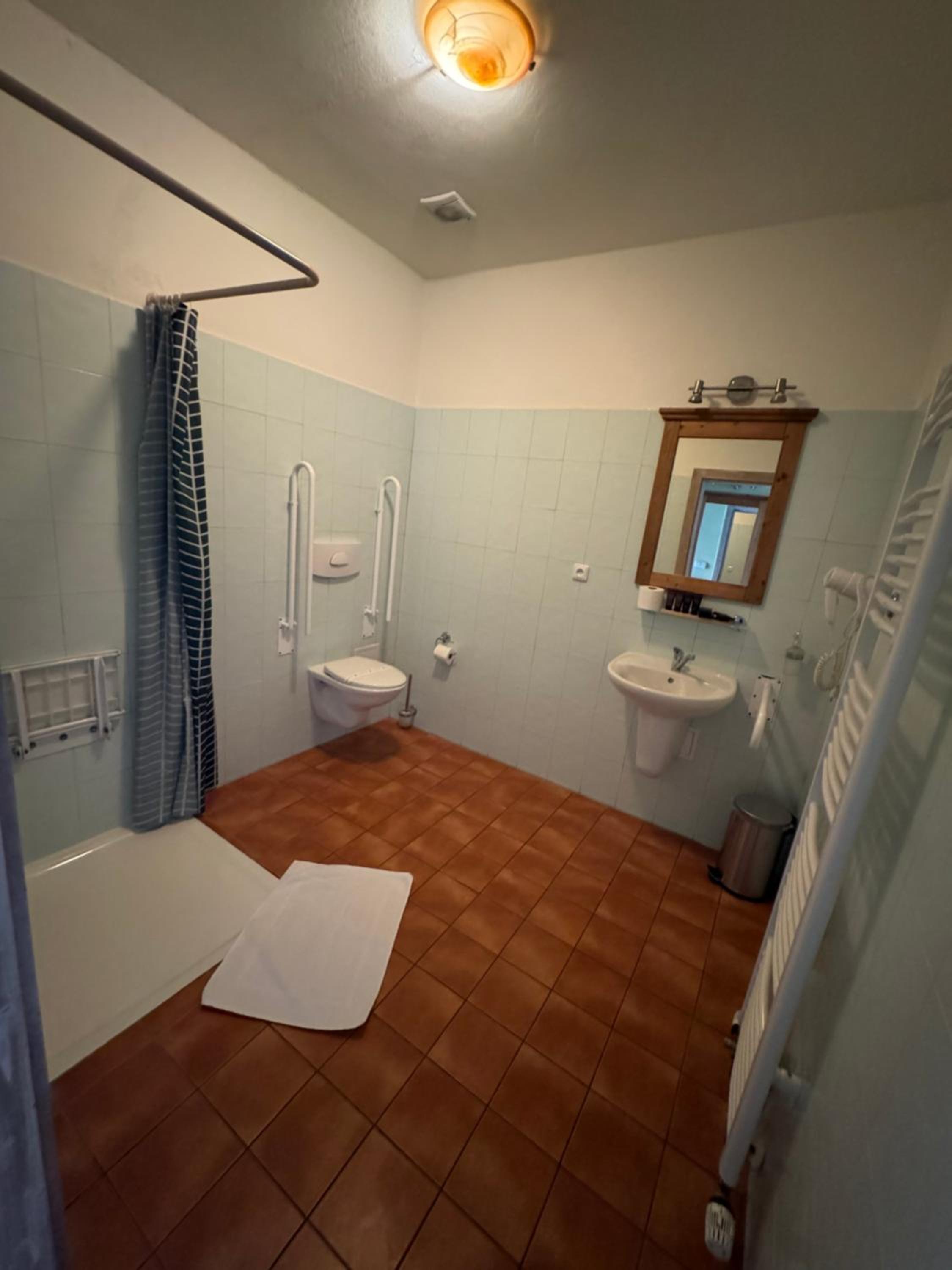 King Room with Roll-In Shower - Disability Access - Photo 5