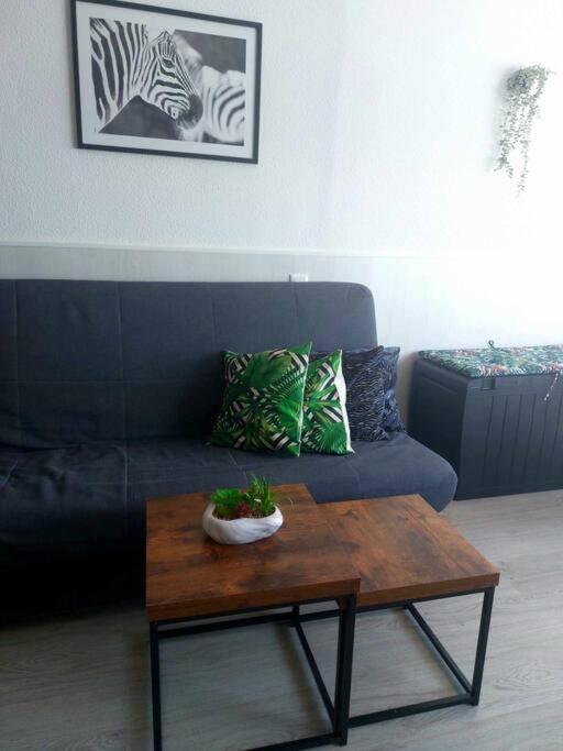 Apartamento Estudio