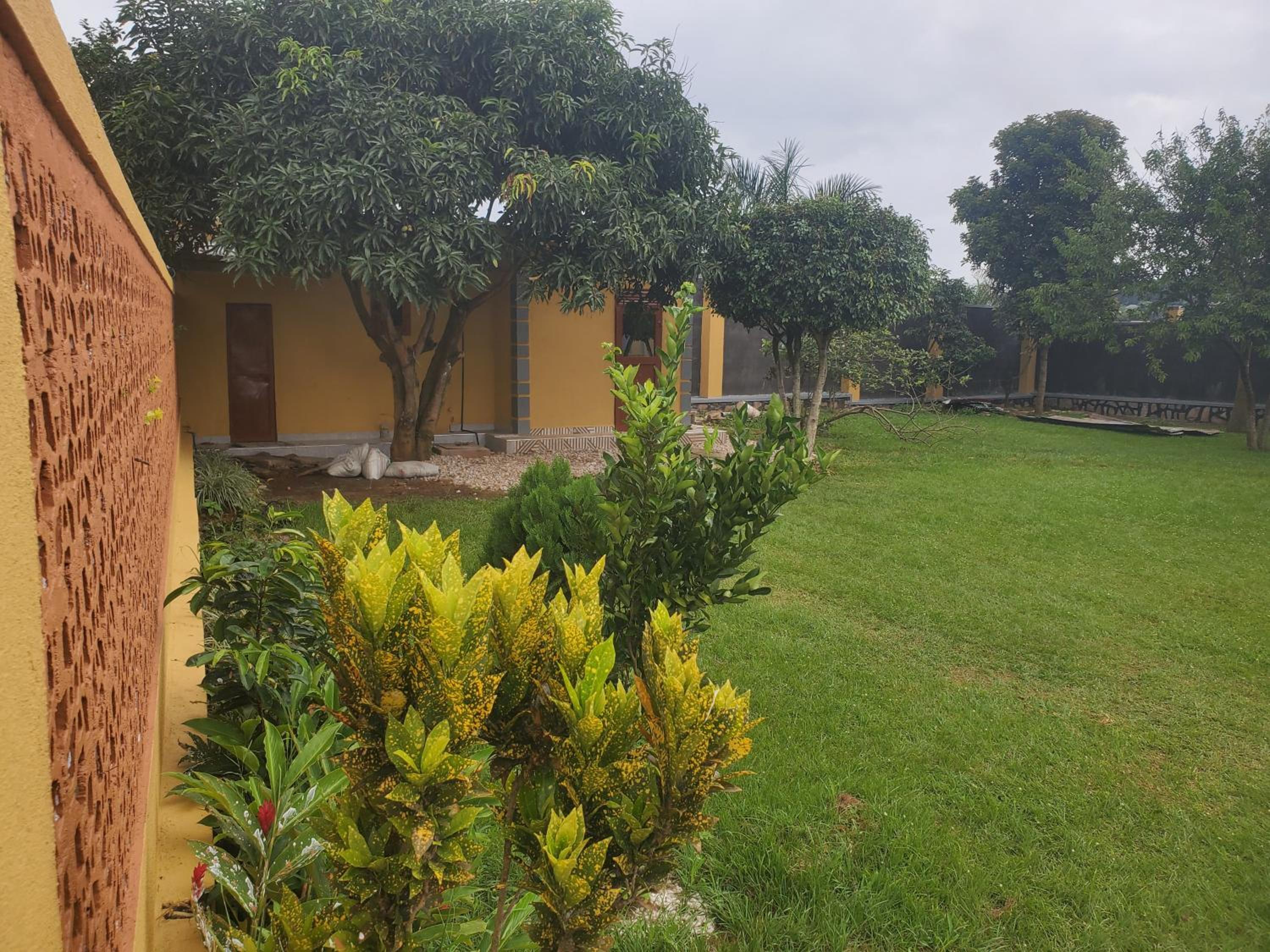 Double Room with Garden View photo 1