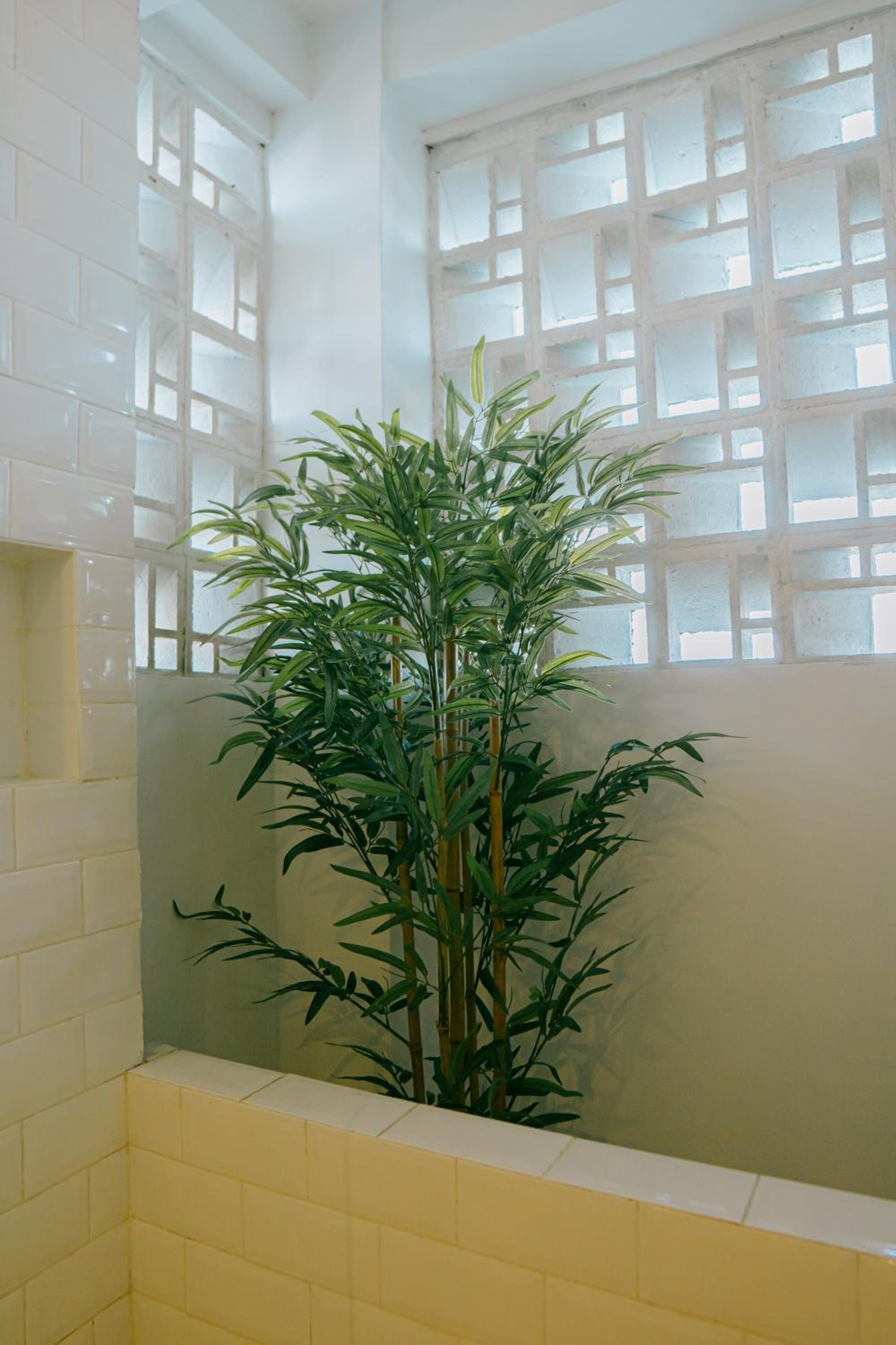 Duplex Apartment - Photo 11