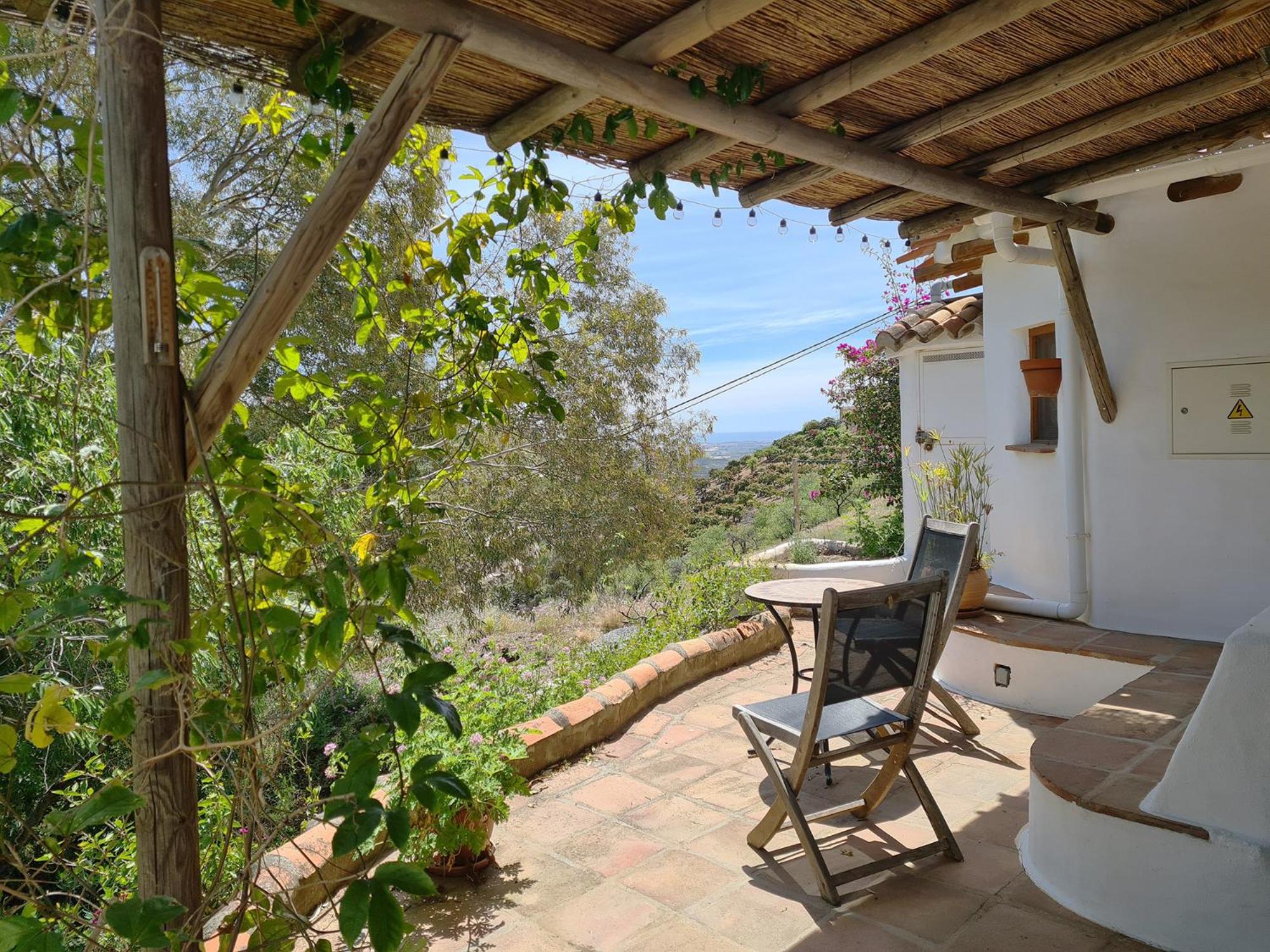 One-Bedroom House photo 2