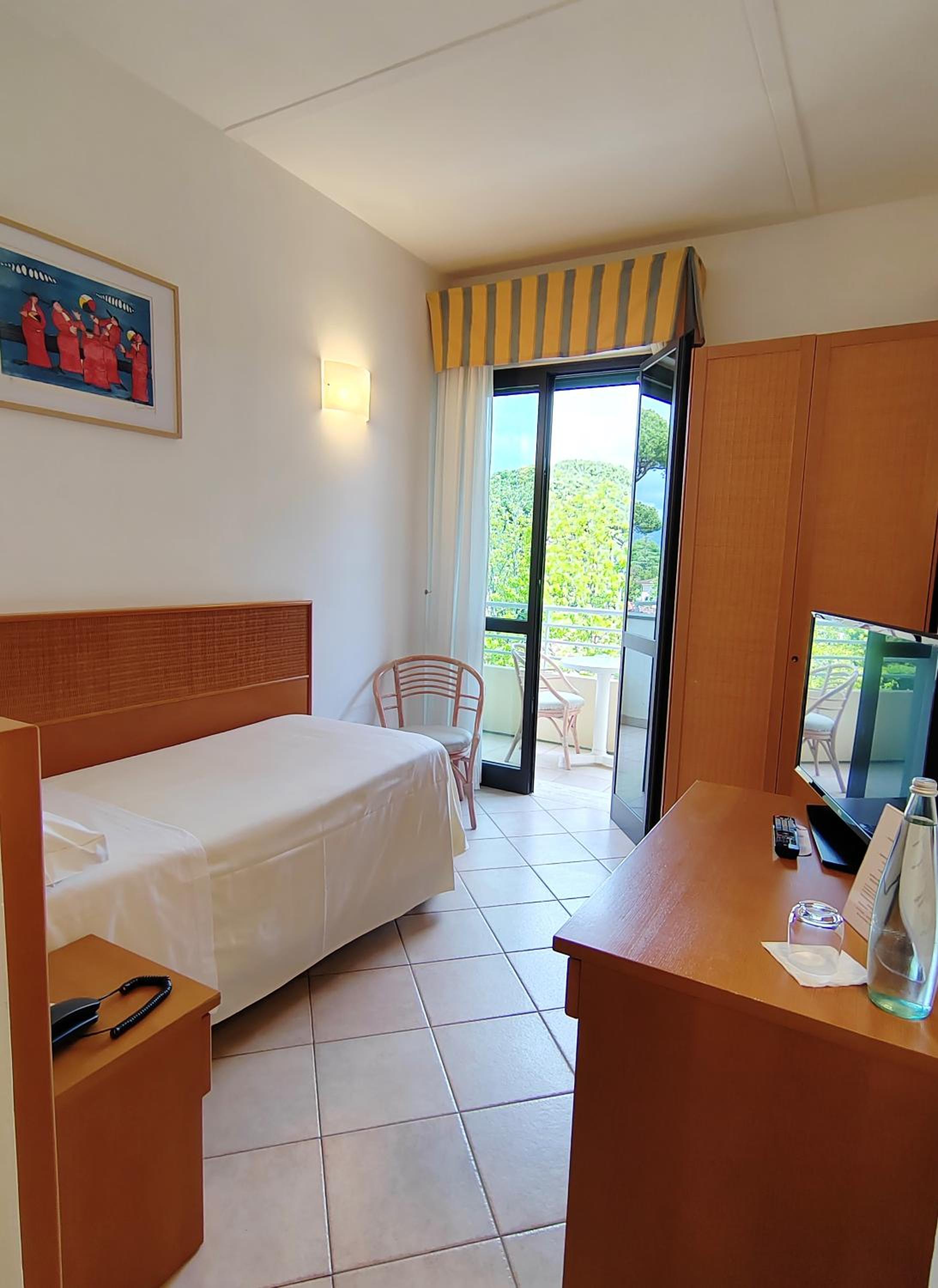 Standard Single Room with Mountain View
