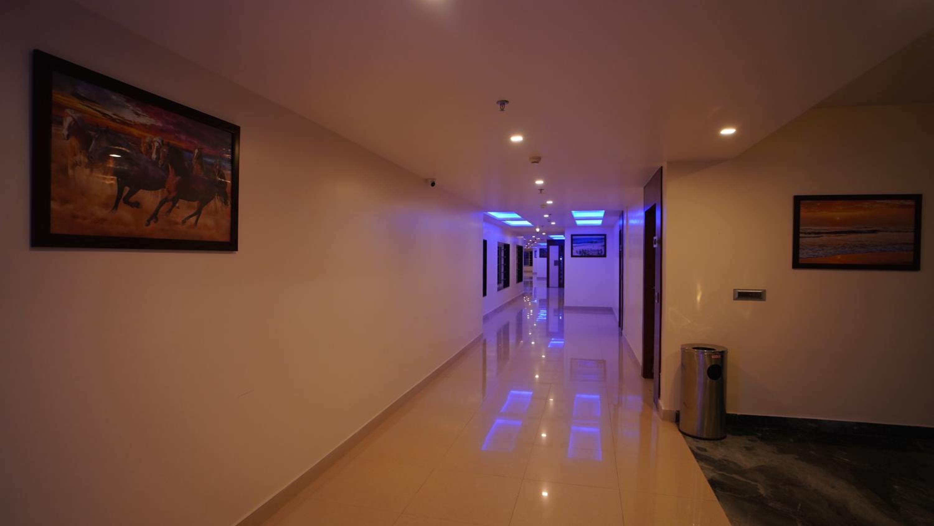 King Room photo 2