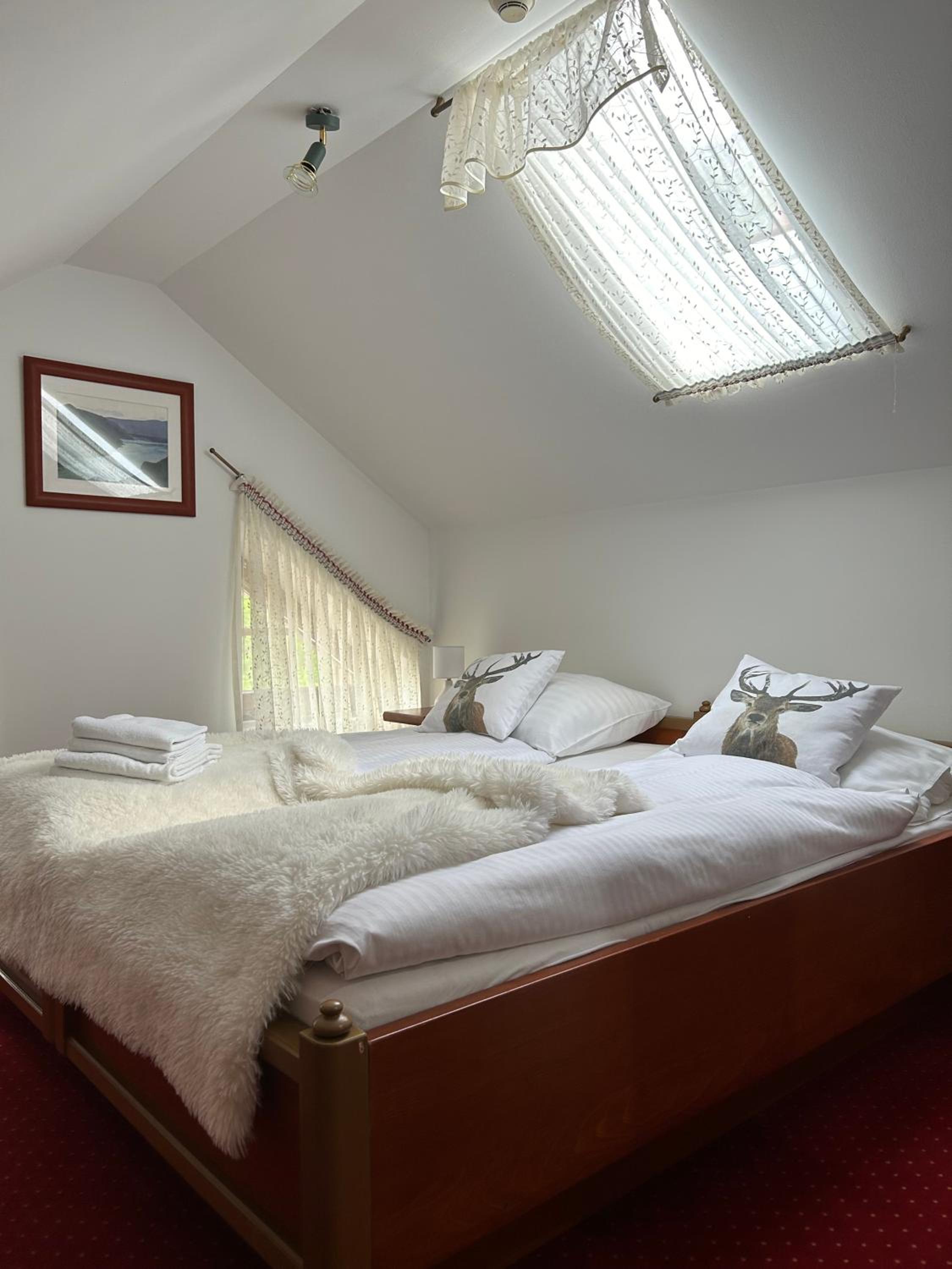 Suite - Photo 2
