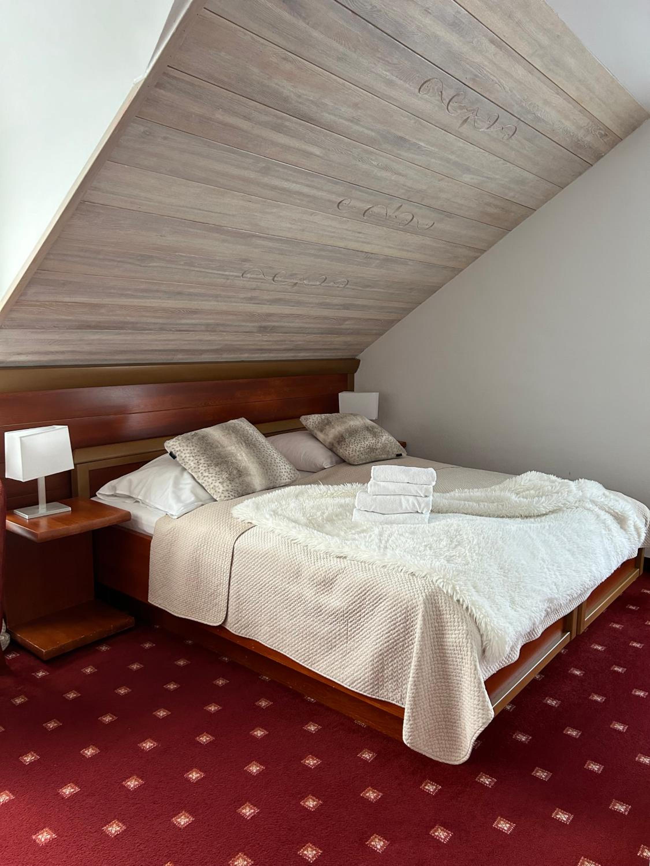 Suite - Photo 1
