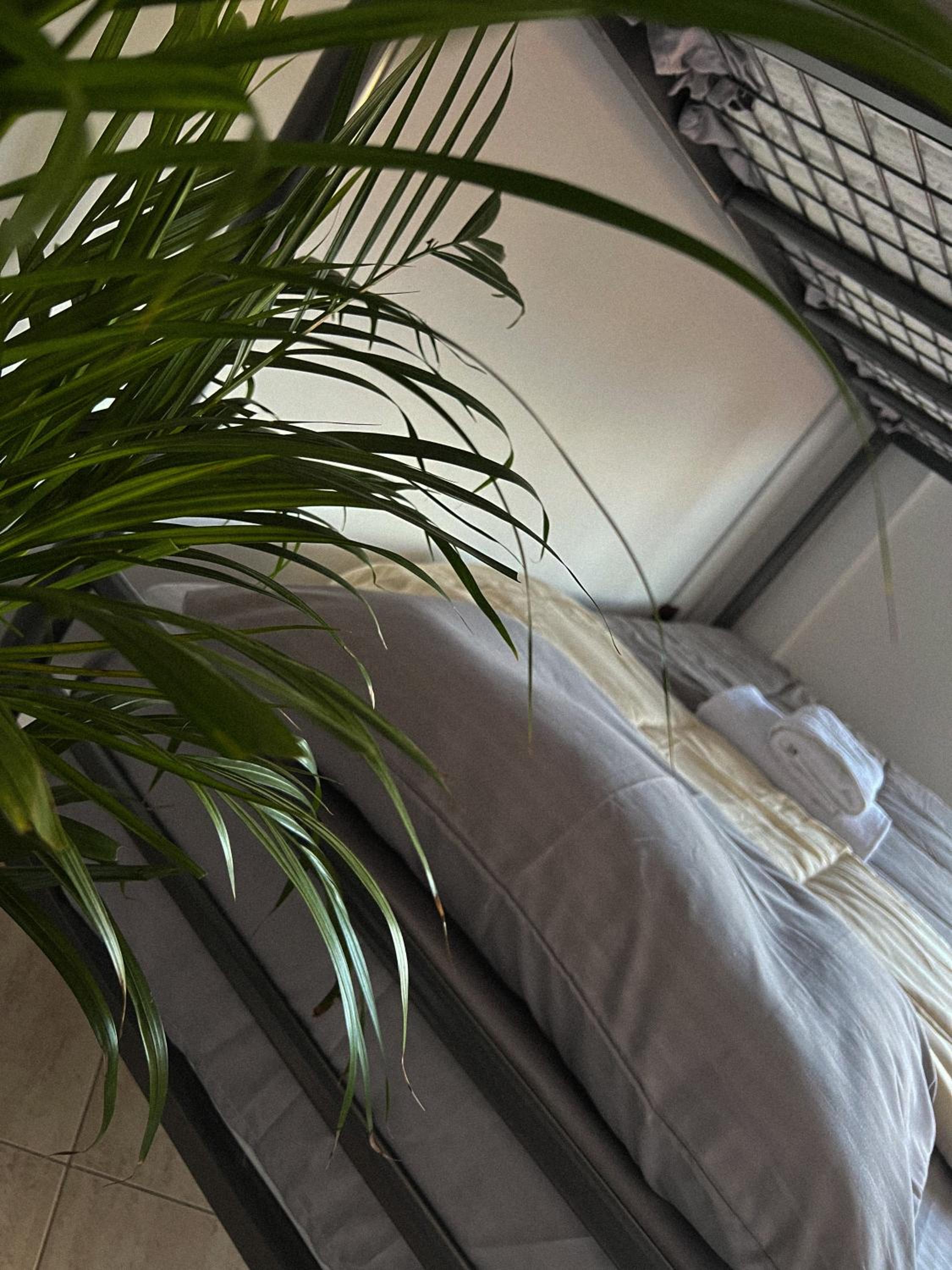 Bed In 8-Bed Mixed Dormitory Room