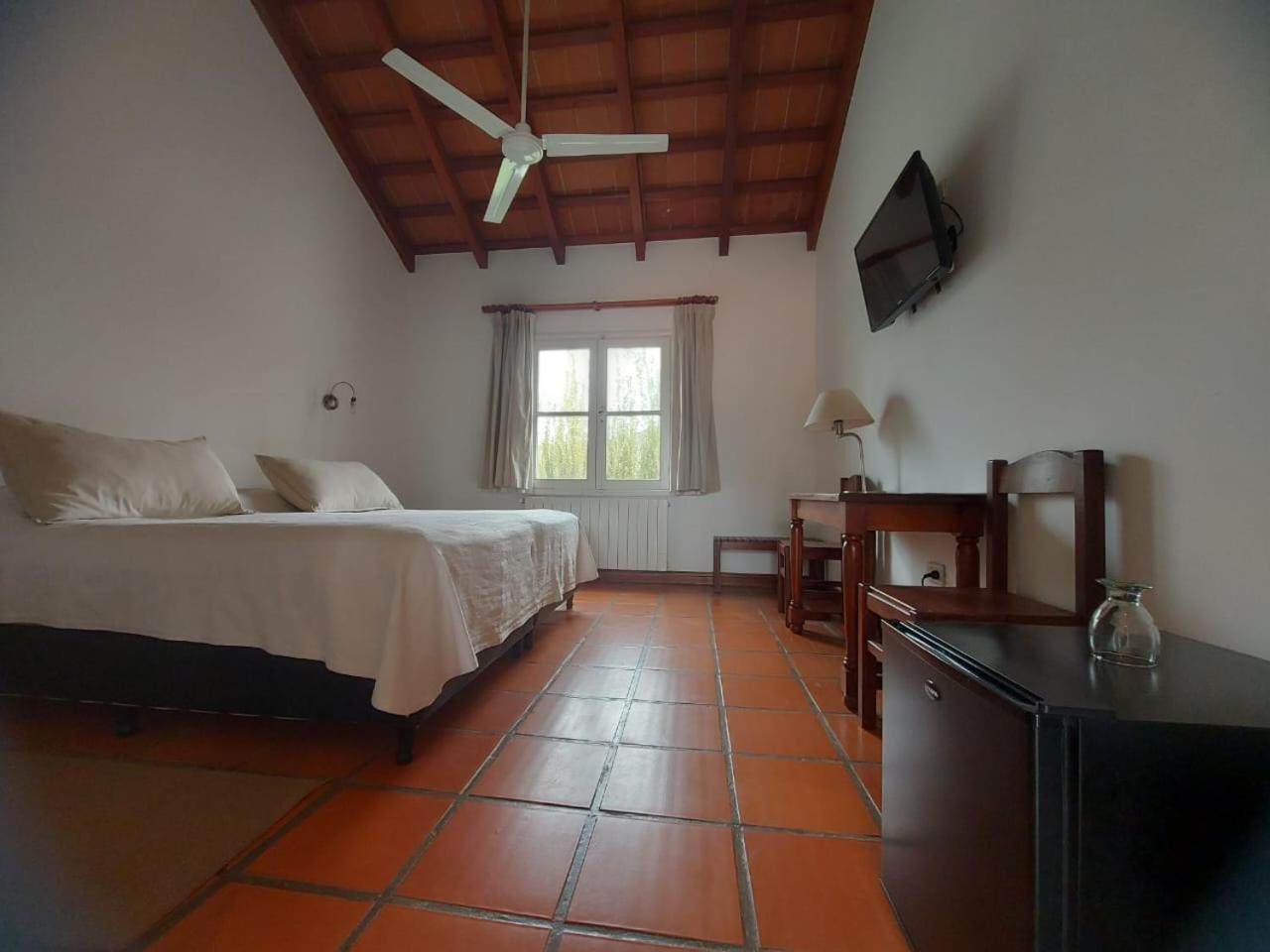 Superior Double Room photo 3