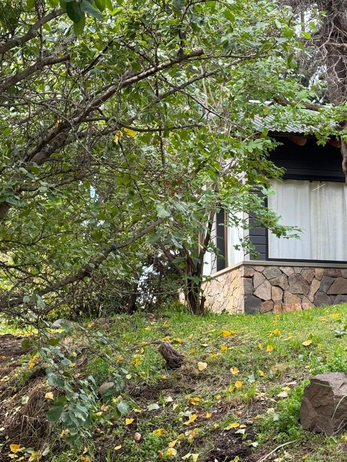 Two-Bedroom House photo 2