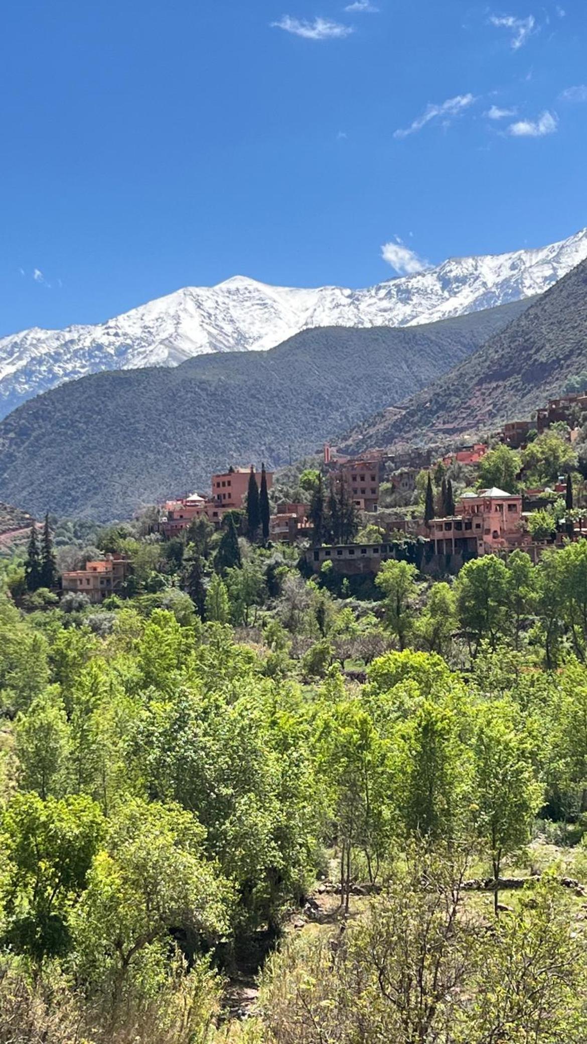 One-Bedroom Apartment with Balcony and Mountain View   - Photo 41