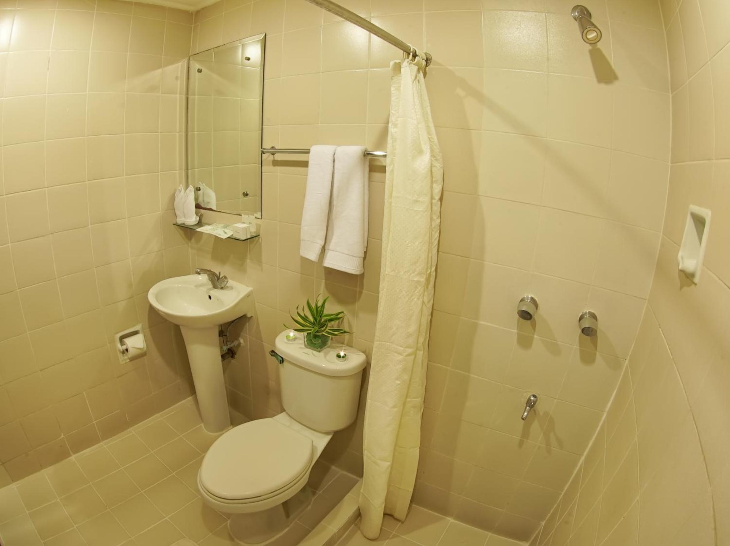 Single Room photo 2