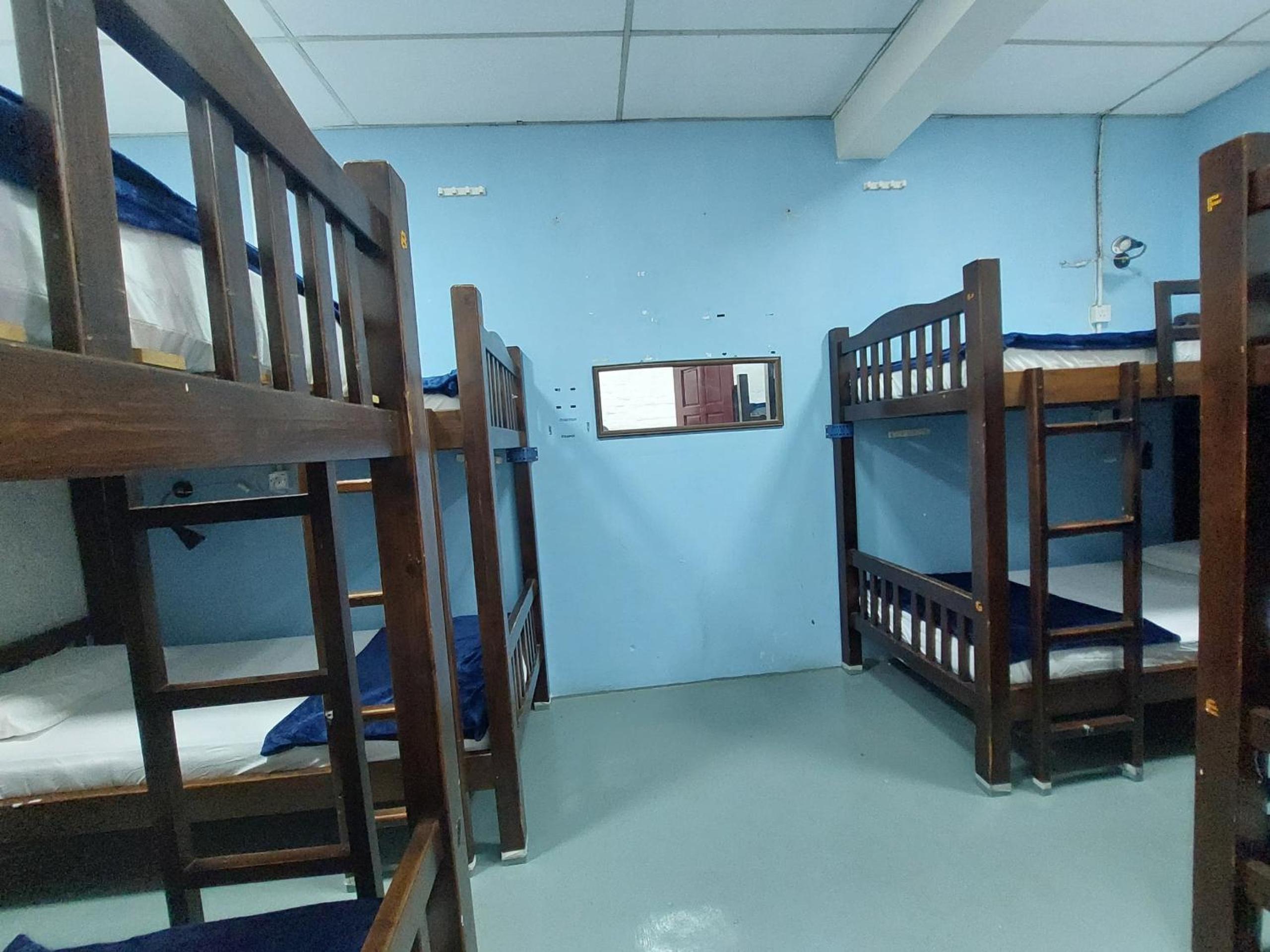 Bunk Bed in Mixed Dormitory Room photo 3