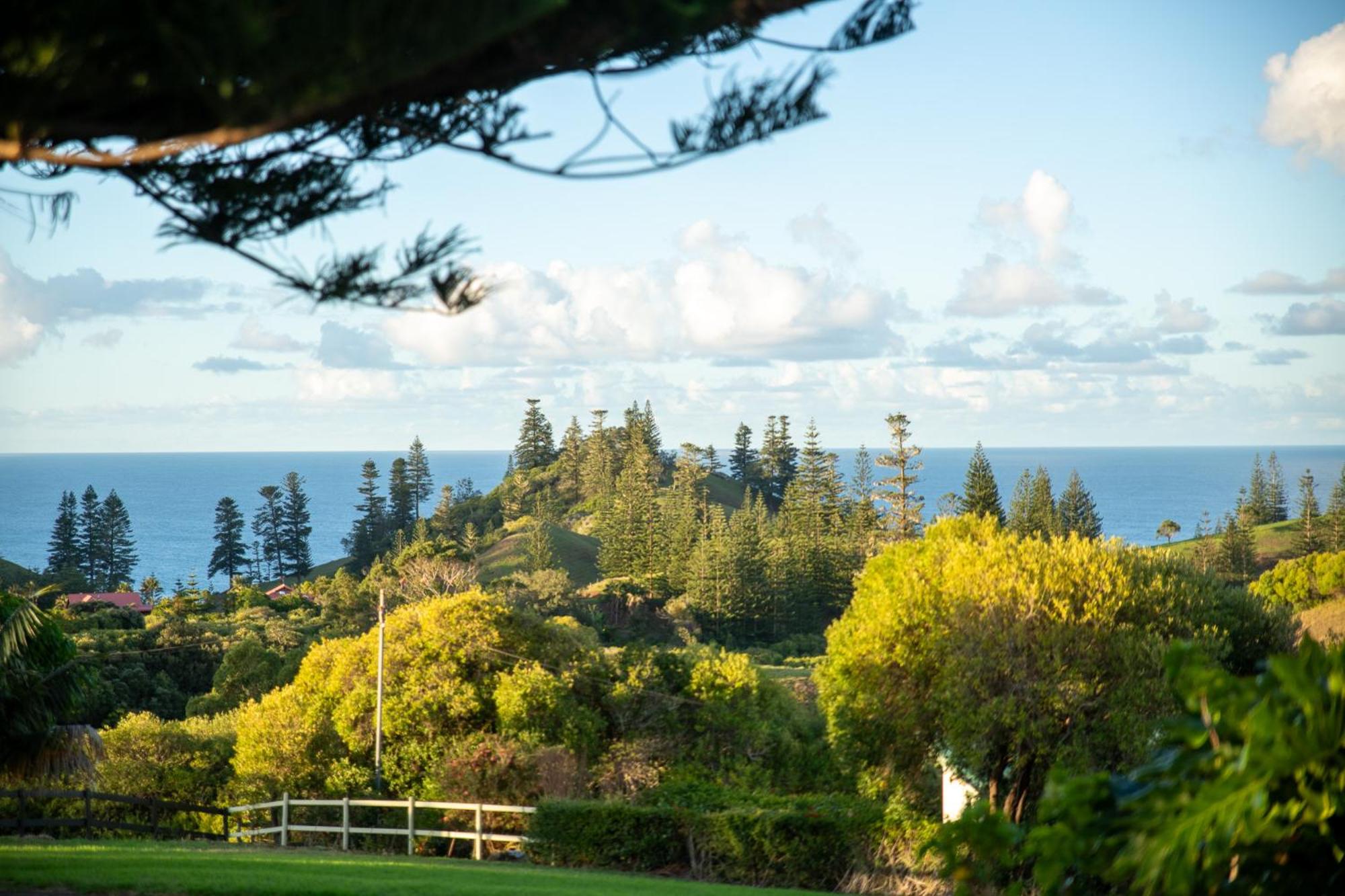 Studio with Ocean View photo 3