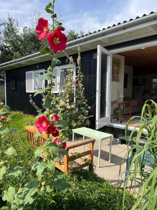 Three-Bedroom House photo 2