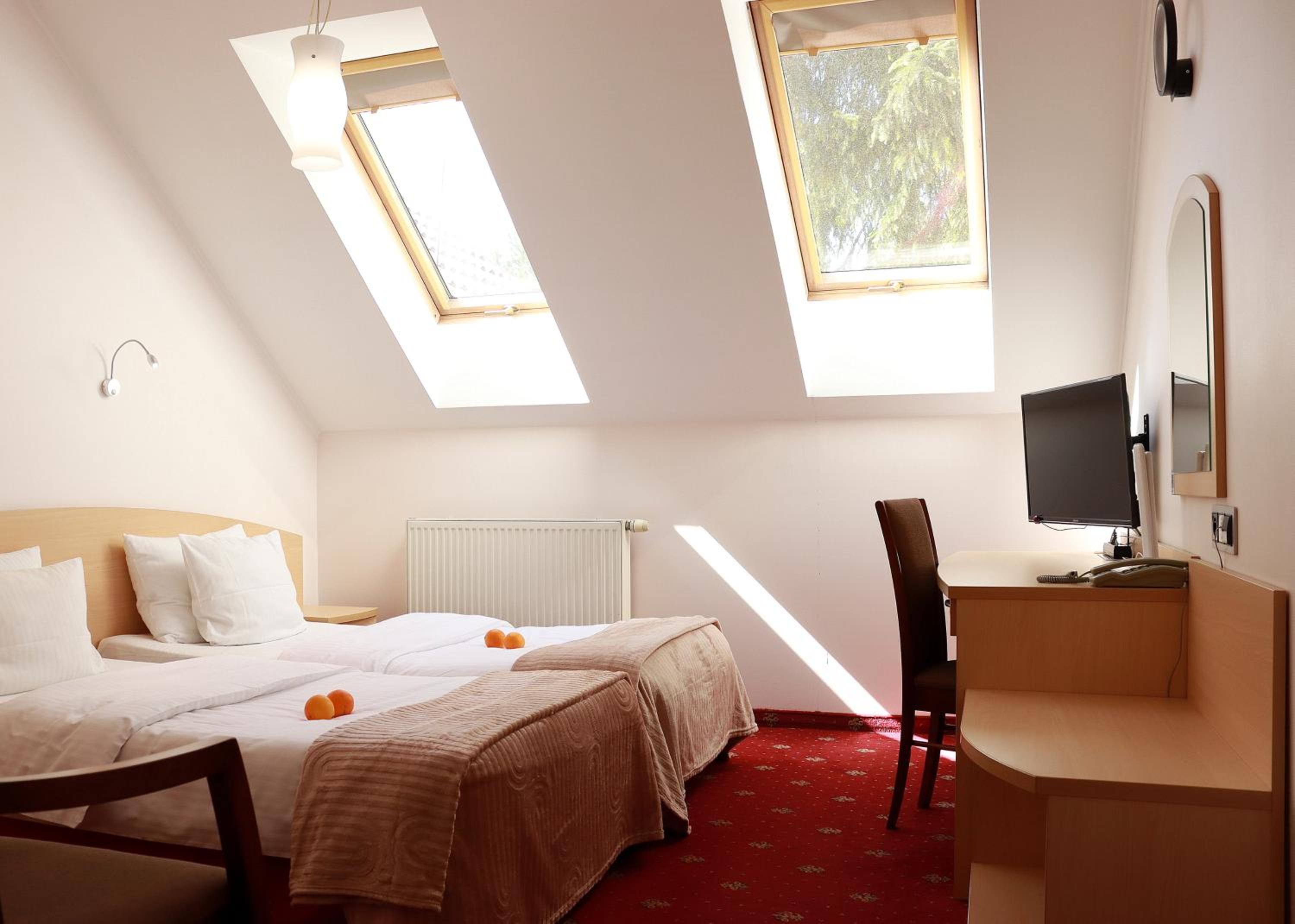 Twin Room photo 3