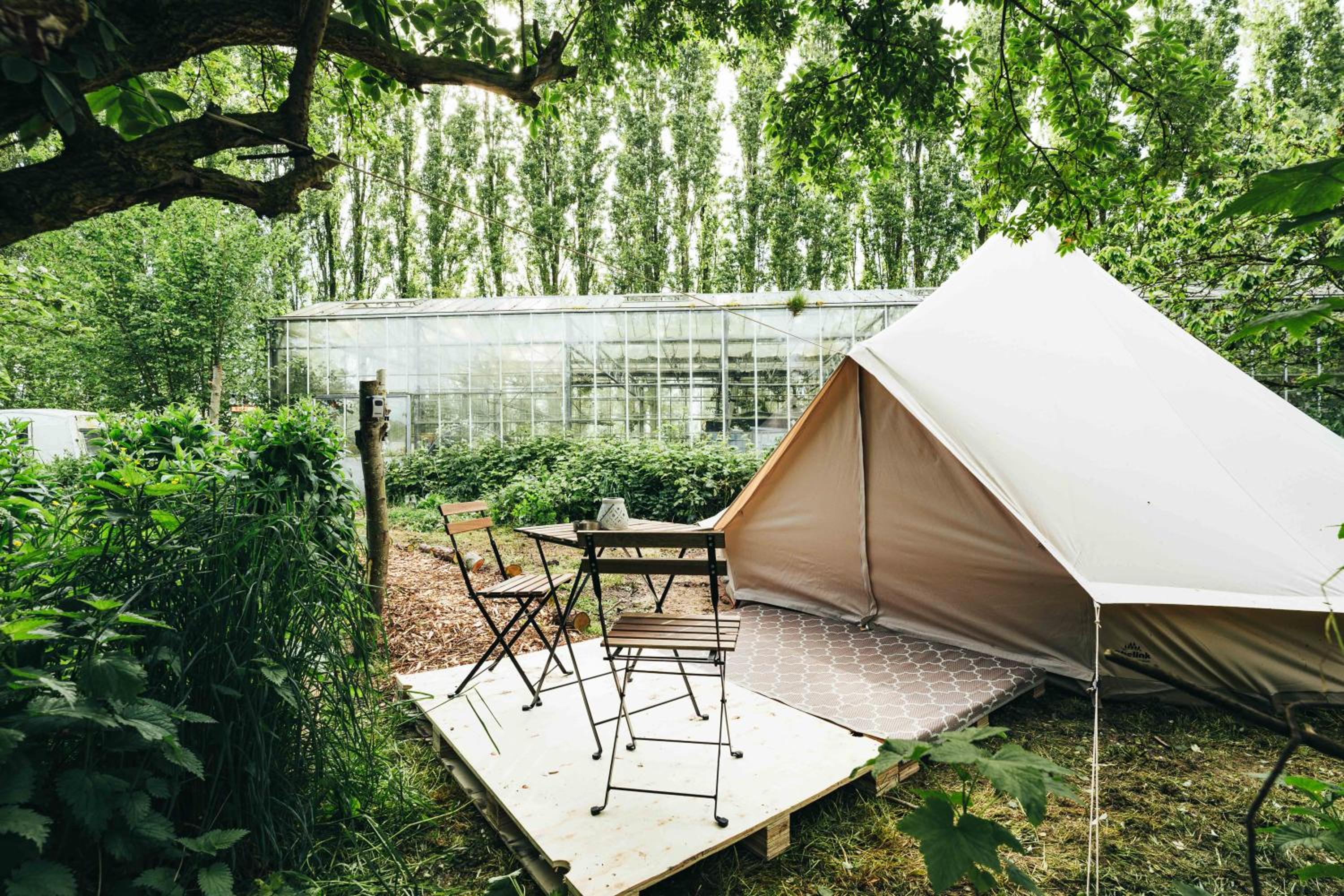 Tent photo 1